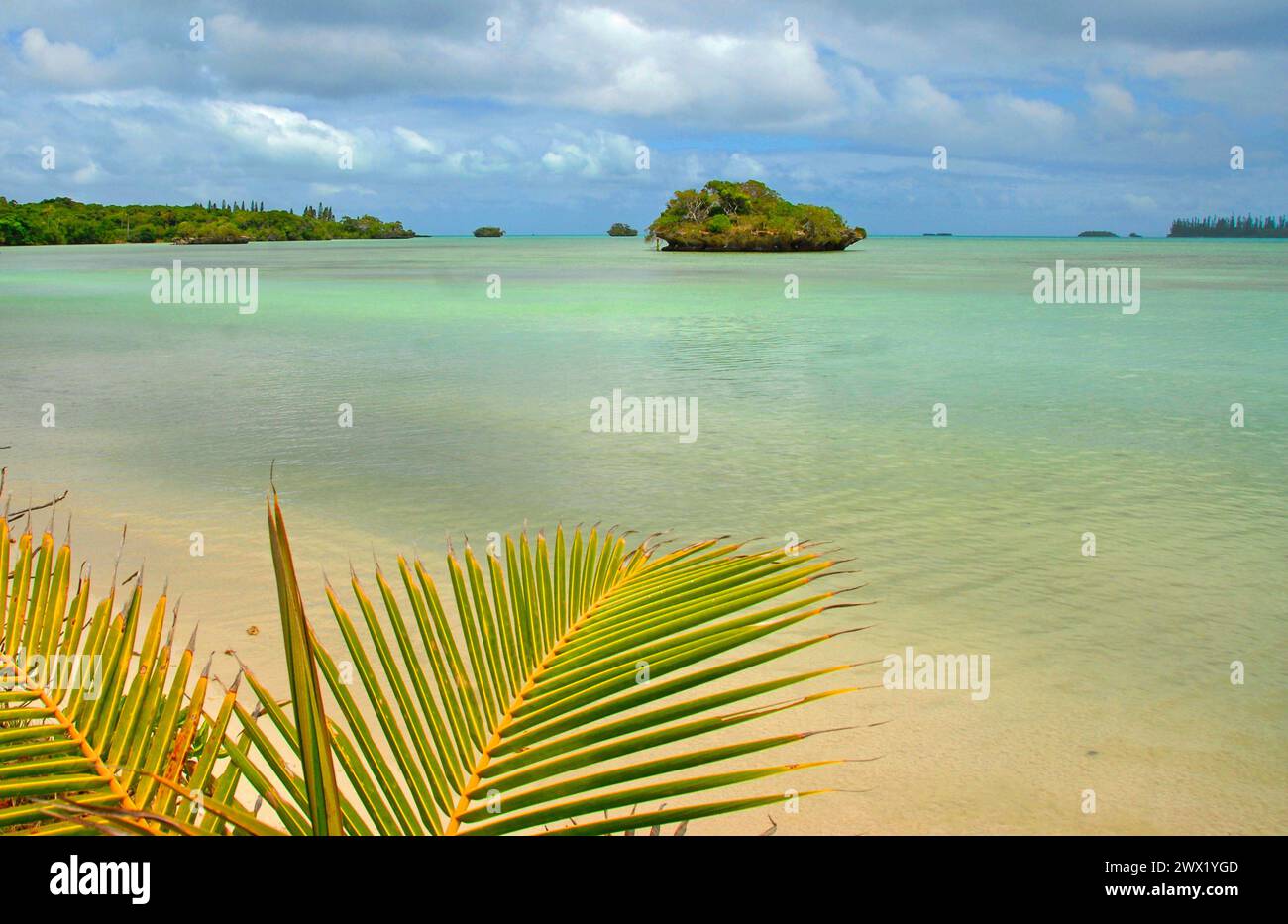 L'isola del tè, l'isola di Pines, Nuova Caldedonia, Francia Foto Stock