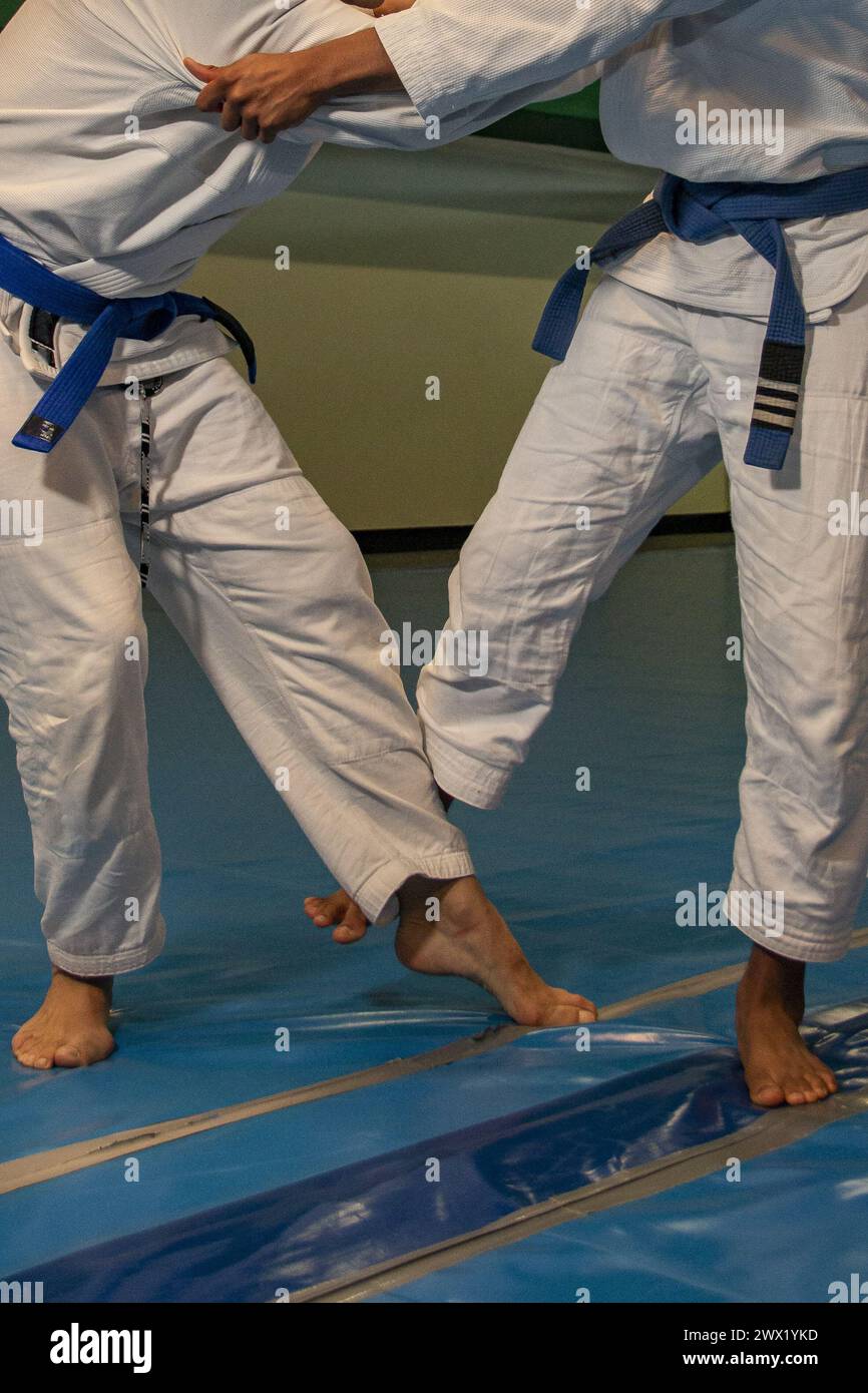 arti marziali in questo caso jiu jitsu dove puoi vedere i dettagli del kimono, cintura blu, sweep, impugnature... Foto Stock