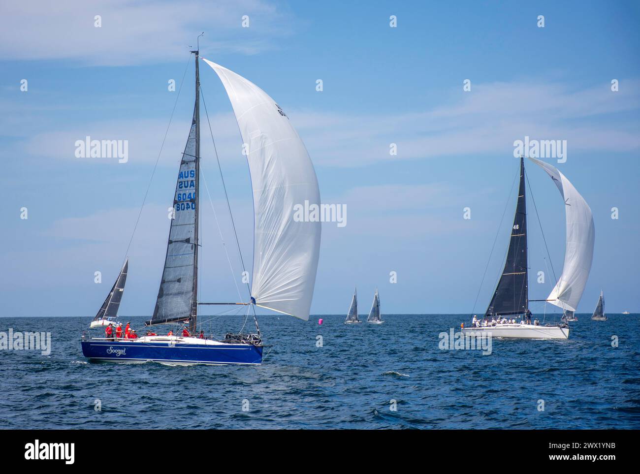 Regate di yacht nel porto di Sydney, a North Sydney, Sydney, New South Wales, Australia Foto Stock