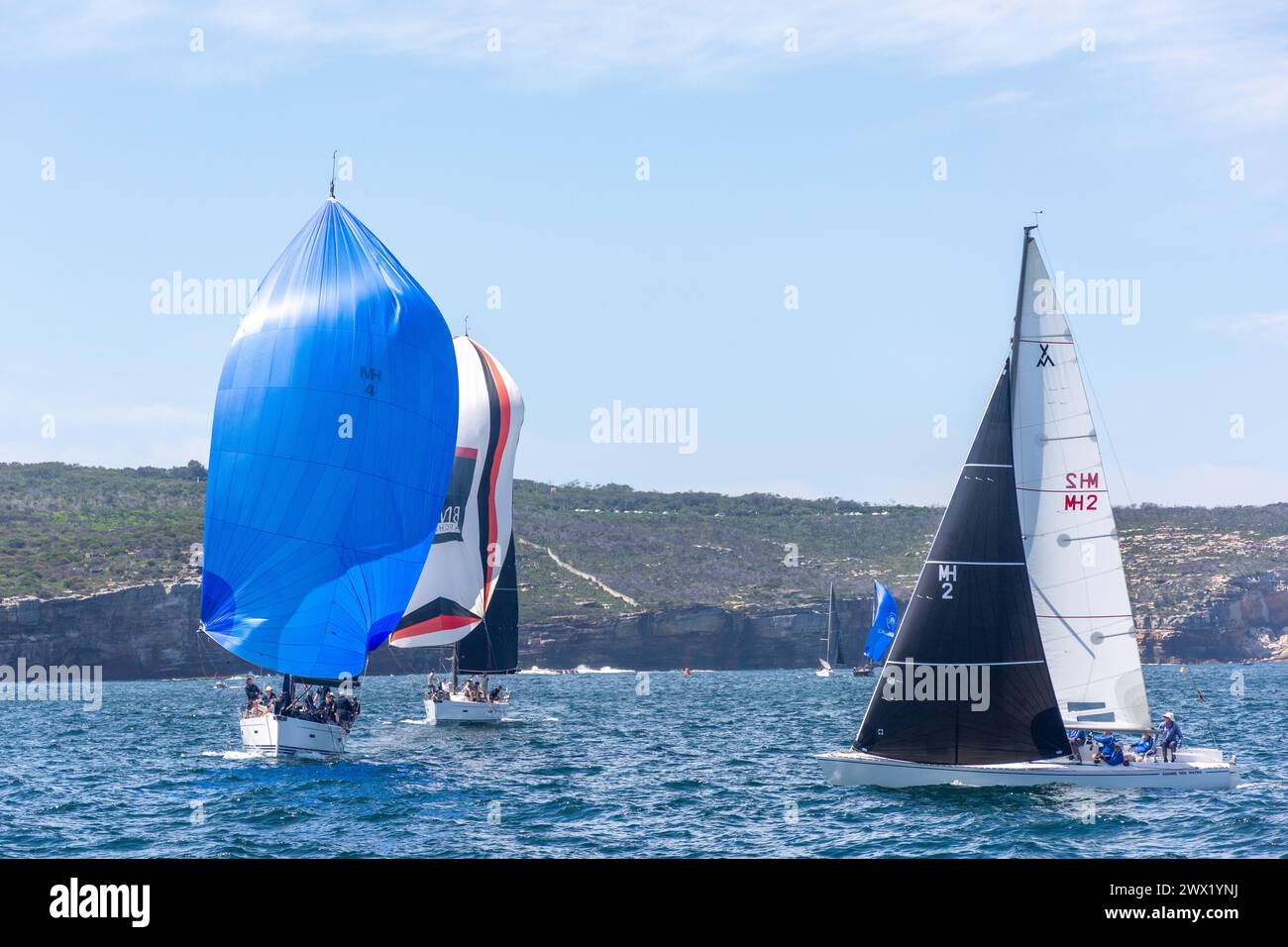 Regate di yacht nel porto di Sydney, a North Sydney, Sydney, New South Wales, Australia Foto Stock