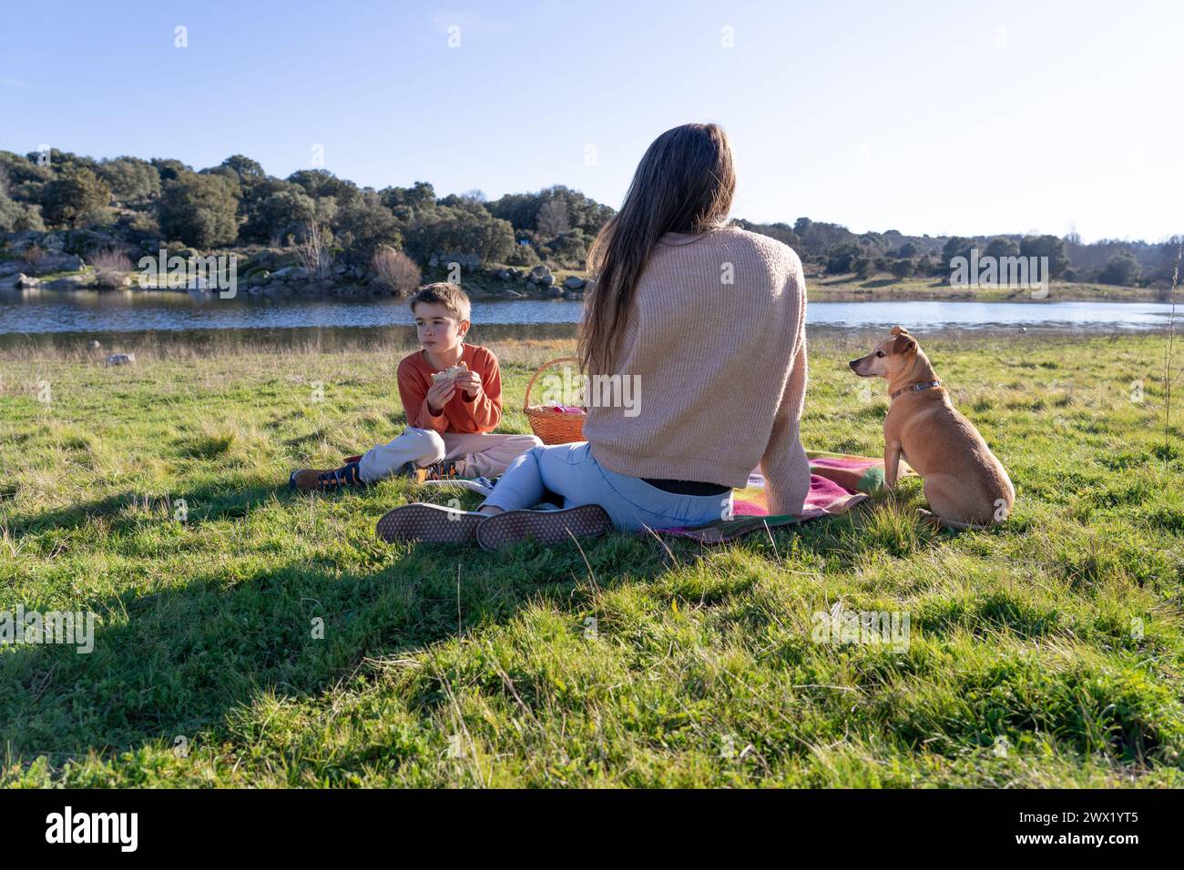 Mamma, figlio e cane si godono un picnic nella natura all'aperto Foto Stock