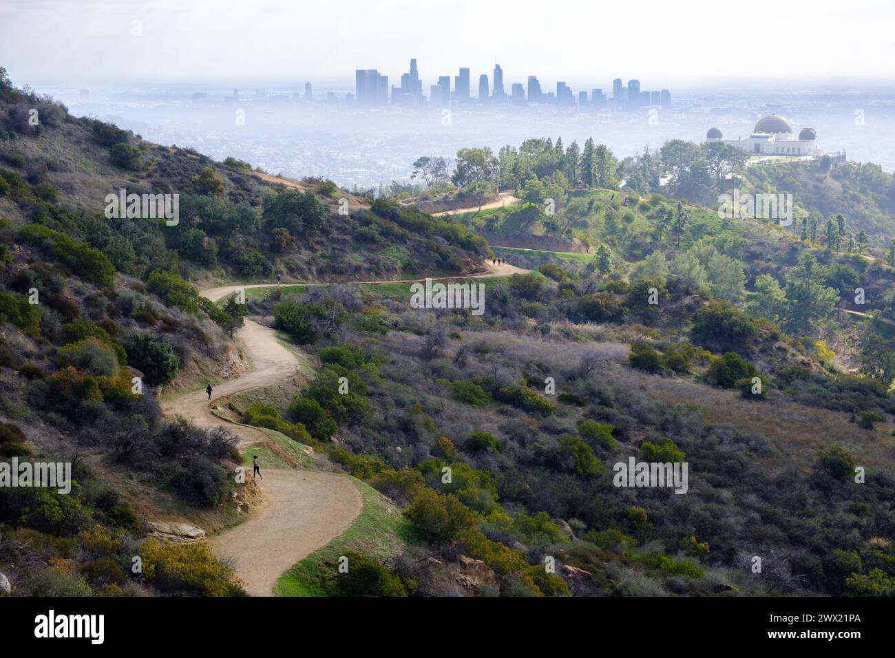 Griffith Park, Los Angeles, California, Stati Uniti. Con oltre 4.000 ettari di terreno, il parco è uno dei parchi urbani più grandi del mondo. Foto Stock