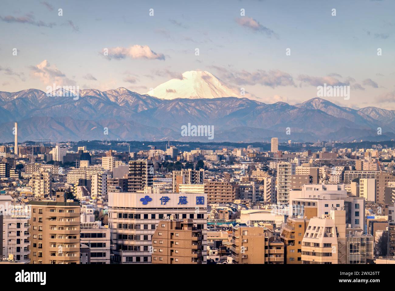 Skyline di Tokyo in Giappone. Tokyo City scape e Monte Fuji al sole del mattino presto. Foto Stock