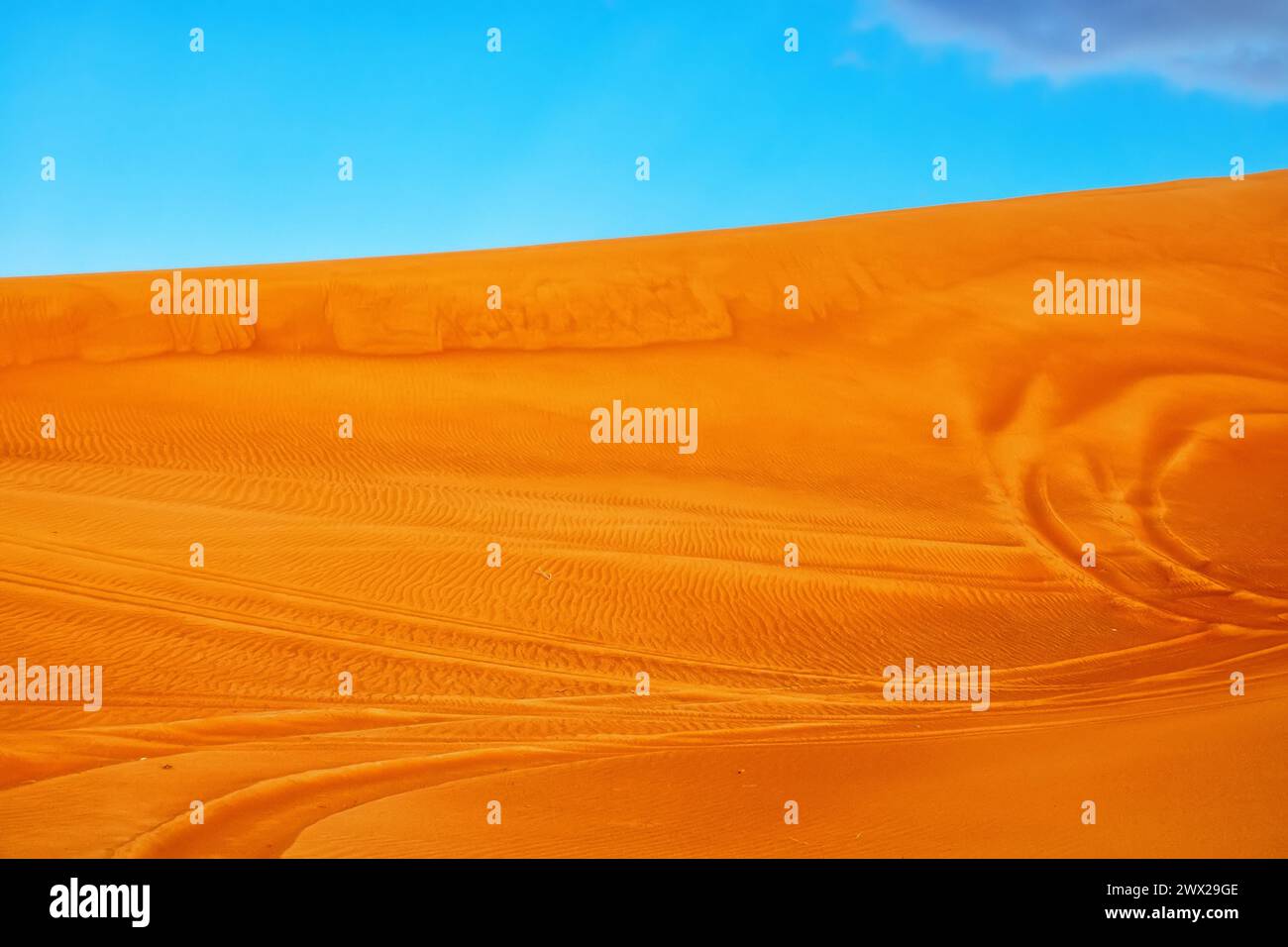 Deserti caldi della parte sud-orientale della penisola arabica. Duna barchan arancione (aree di sabbia interne, sabbie di deriva) a gennaio. Le colline sabbiose sono utilizzate da Foto Stock