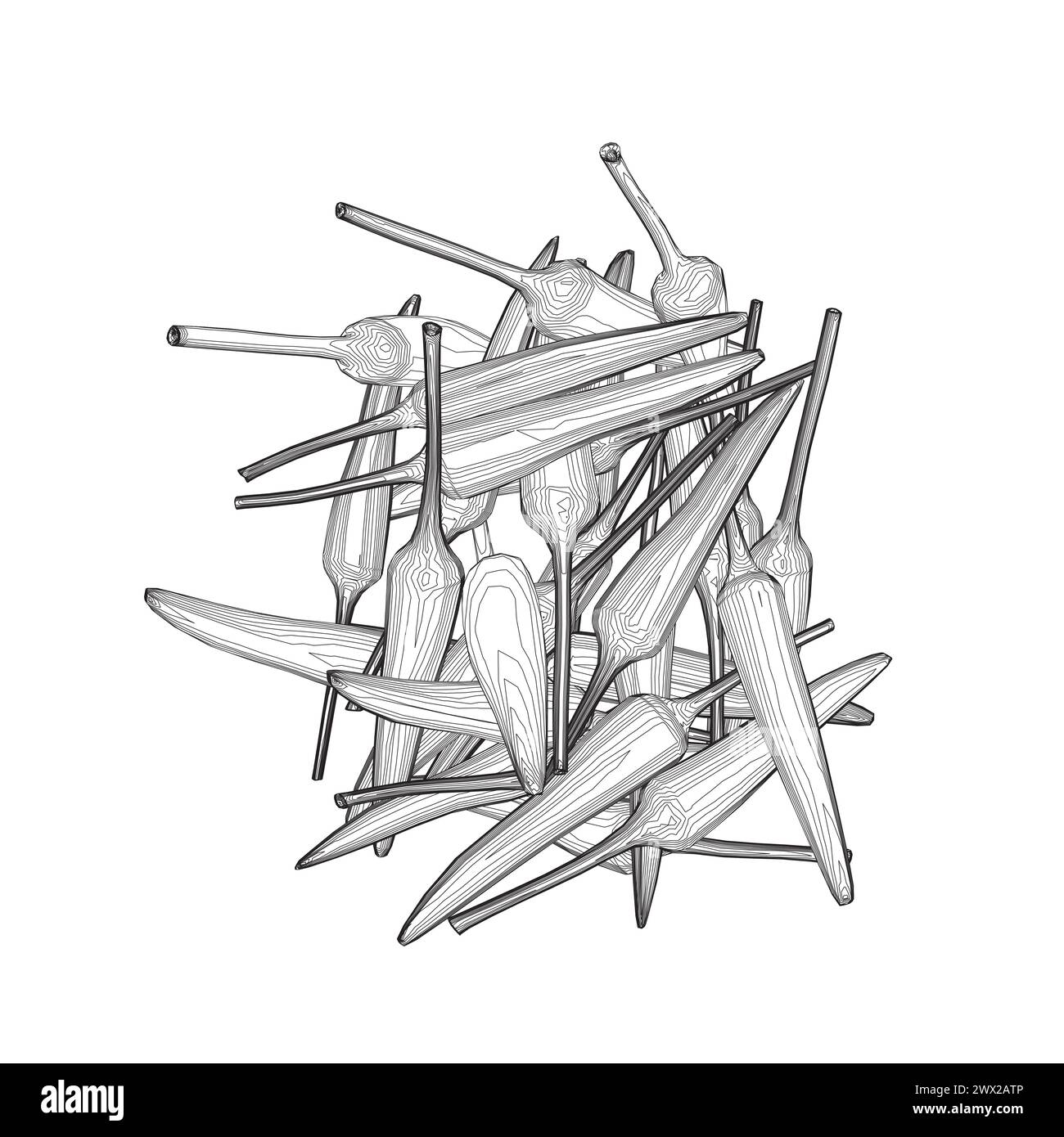 Contorno di un mazzo di peperoni fatto di linee nere isolate su sfondo bianco. Illustrazione vettoriale. 3D. Illustrazione Vettoriale