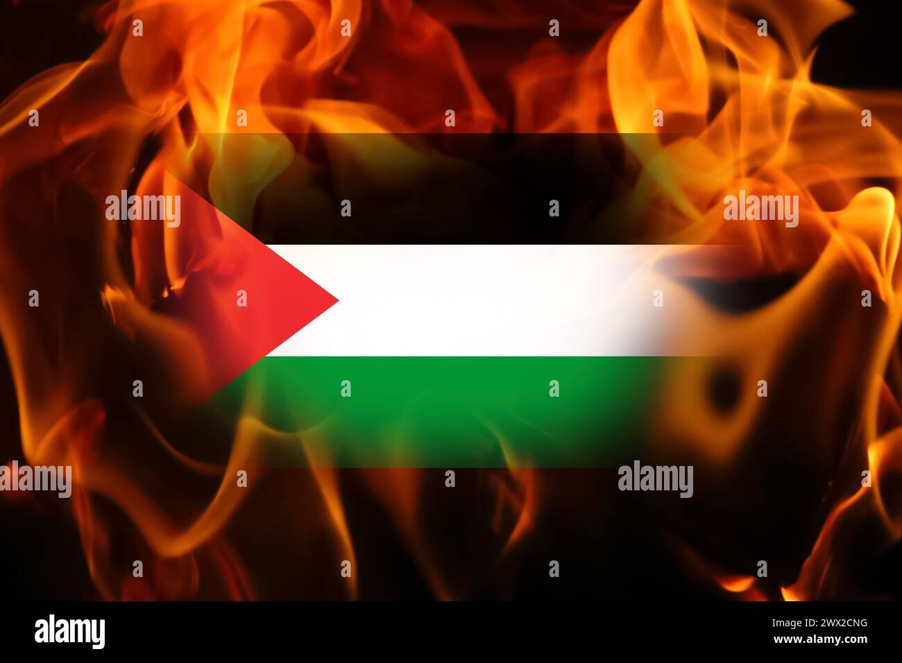 Vista ravvicinata della bandiera della Palestina che sventola nella fiamma. Palestina guerra israeliana. Banner per il design. Fiamma e fuoco. Sfondo bandiera Palestina Foto Stock