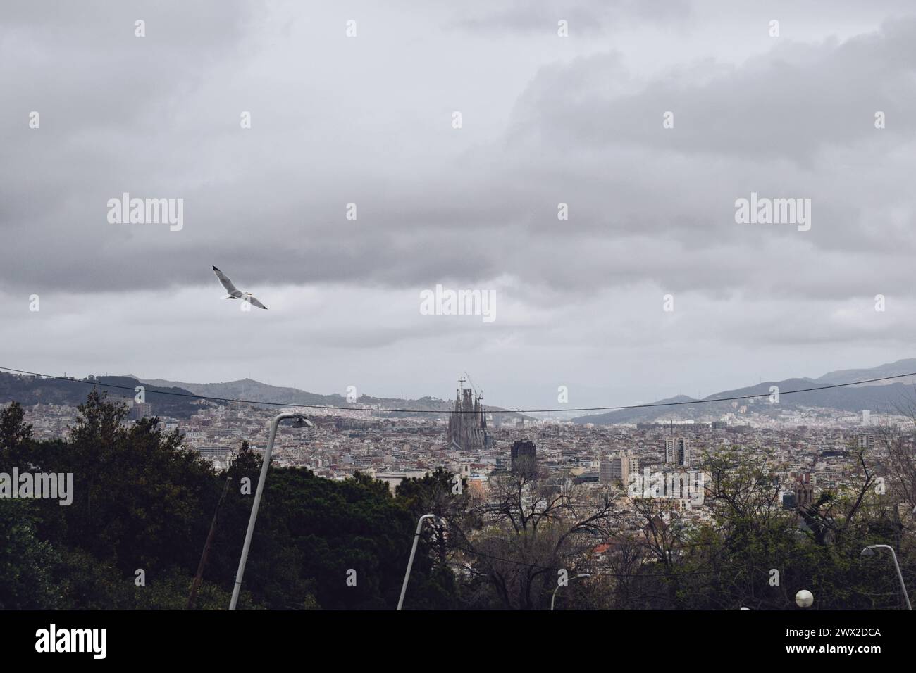 Viste panoramiche della città di Barcellona in una giornata nuvolosa, Spagna, il 24 marzo 2024 Foto Stock