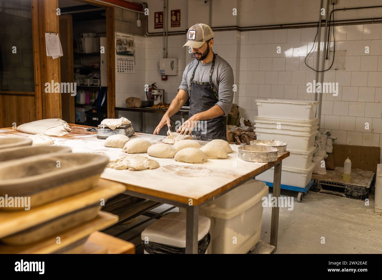 panettiere maschio giovane, prepara impasti per preparare il pane sul tavolo della panetteria, pesa gli impasti, scuola di panetteria. Foto Stock