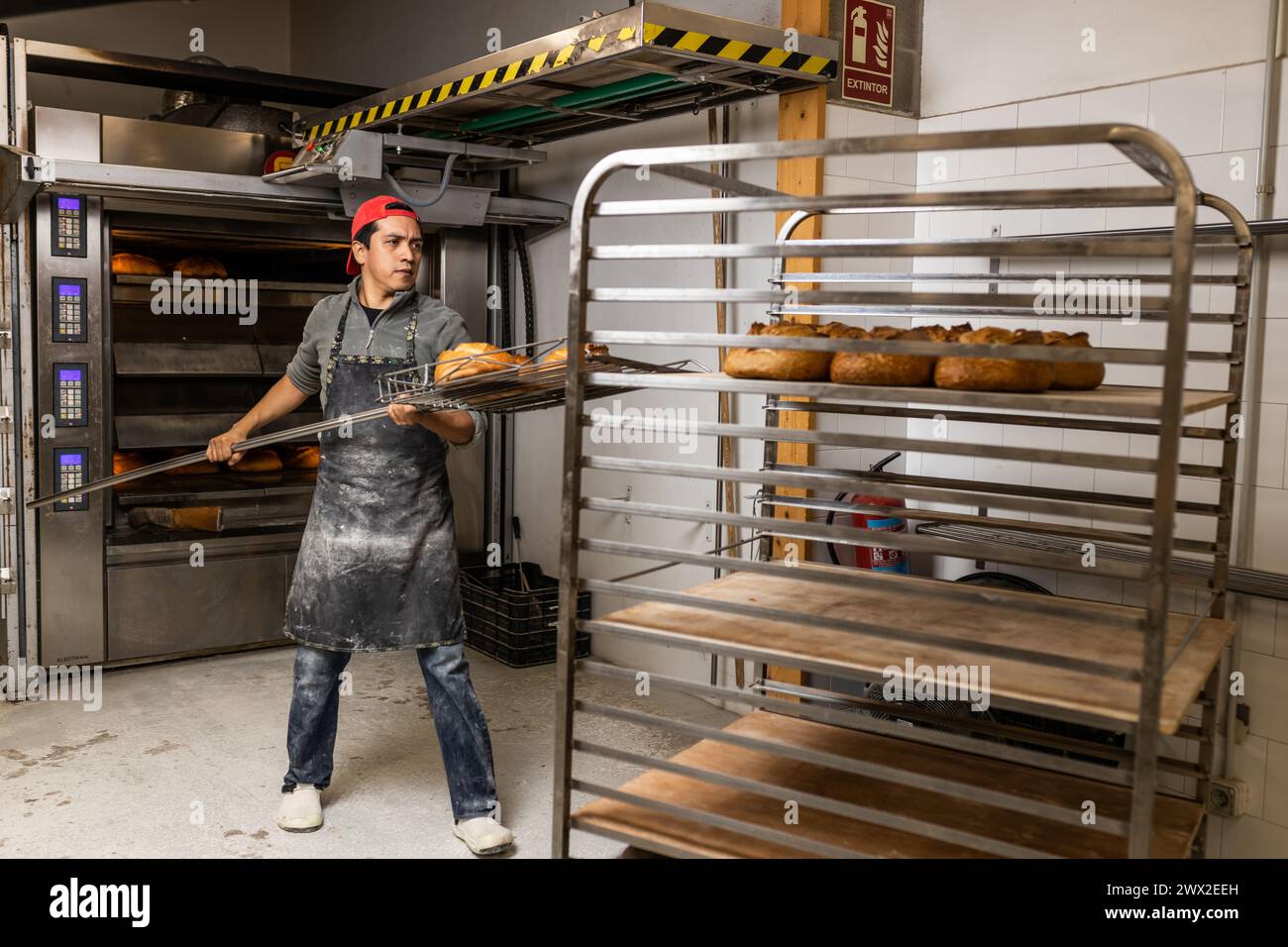 Il maestro panettiere latino prende i pani dal forno e li mette al fresco Foto Stock