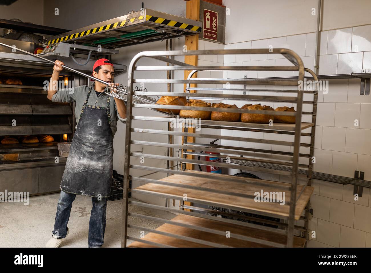 Il maestro panettiere latino prende i pani dal forno e li mette al fresco Foto Stock