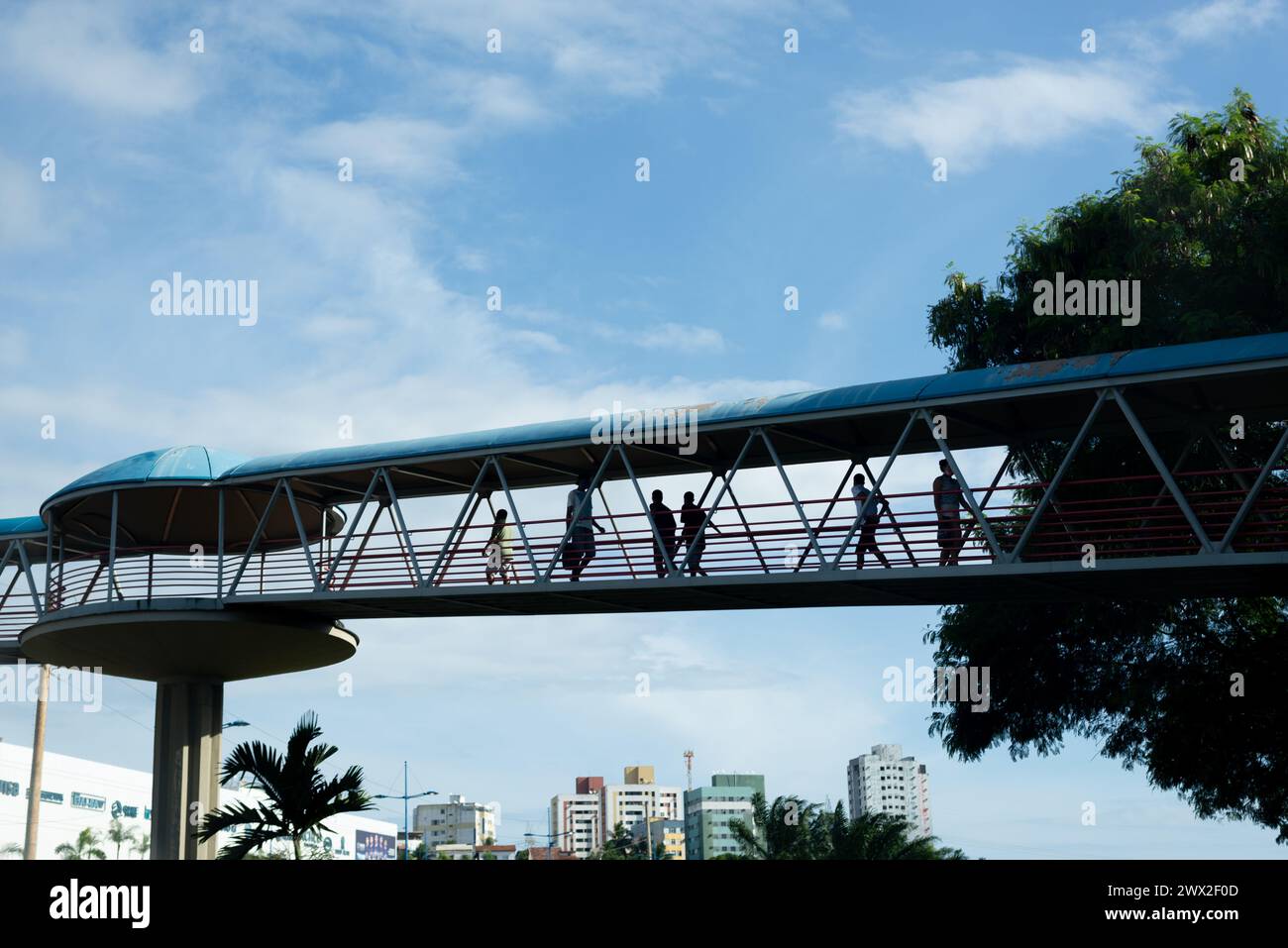 Salvador, Bahia, Brasile - 19 dicembre 2021: Si vedono pedoni che attraversano un passaggio pedonale urbano nella città di Salvador, Bahia. Foto Stock
