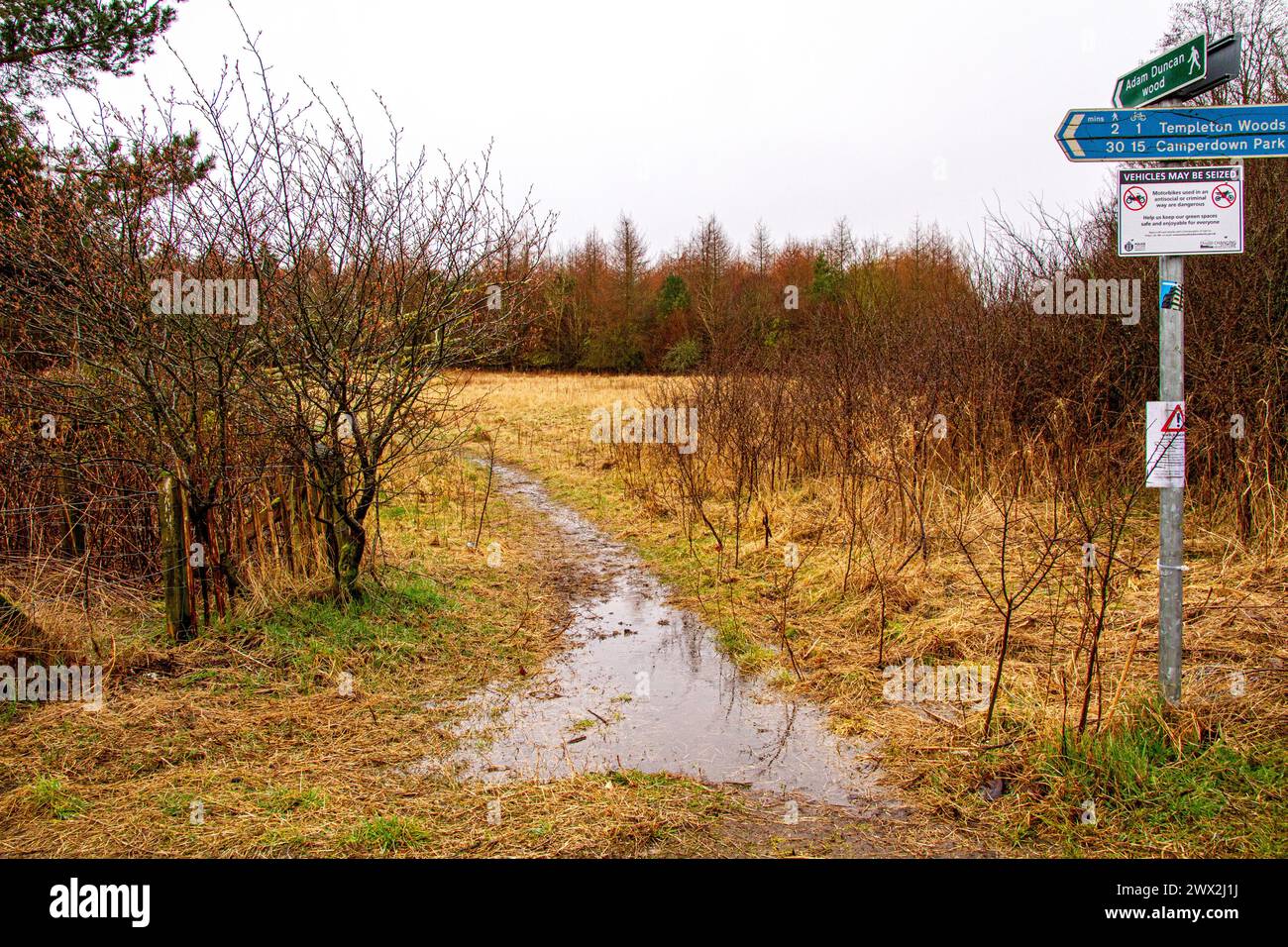 Dundee, Tayside, Scozia, Regno Unito. 27 marzo 2024. Meteo nel Regno Unito: La pioggia leggera primaverile elimina la neve del mattino presto da Templeton Woods a Dundee. Templeton Woods ha un'atmosfera inquietante con spruzzi di pioggia leggera, che lo rendono un luogo ideale per le sequenze di film horror. Crediti: Dundee Photographics/Alamy Live News Foto Stock