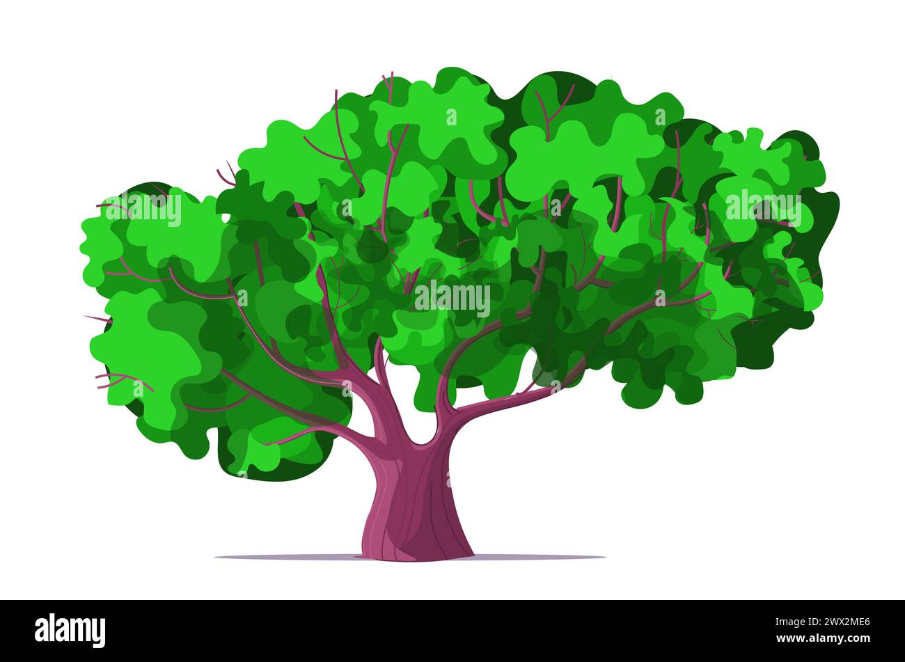 Albero verde con foglie su sfondo bianco. Impianto in giardino. Illustrazione vettoriale. Foto Stock