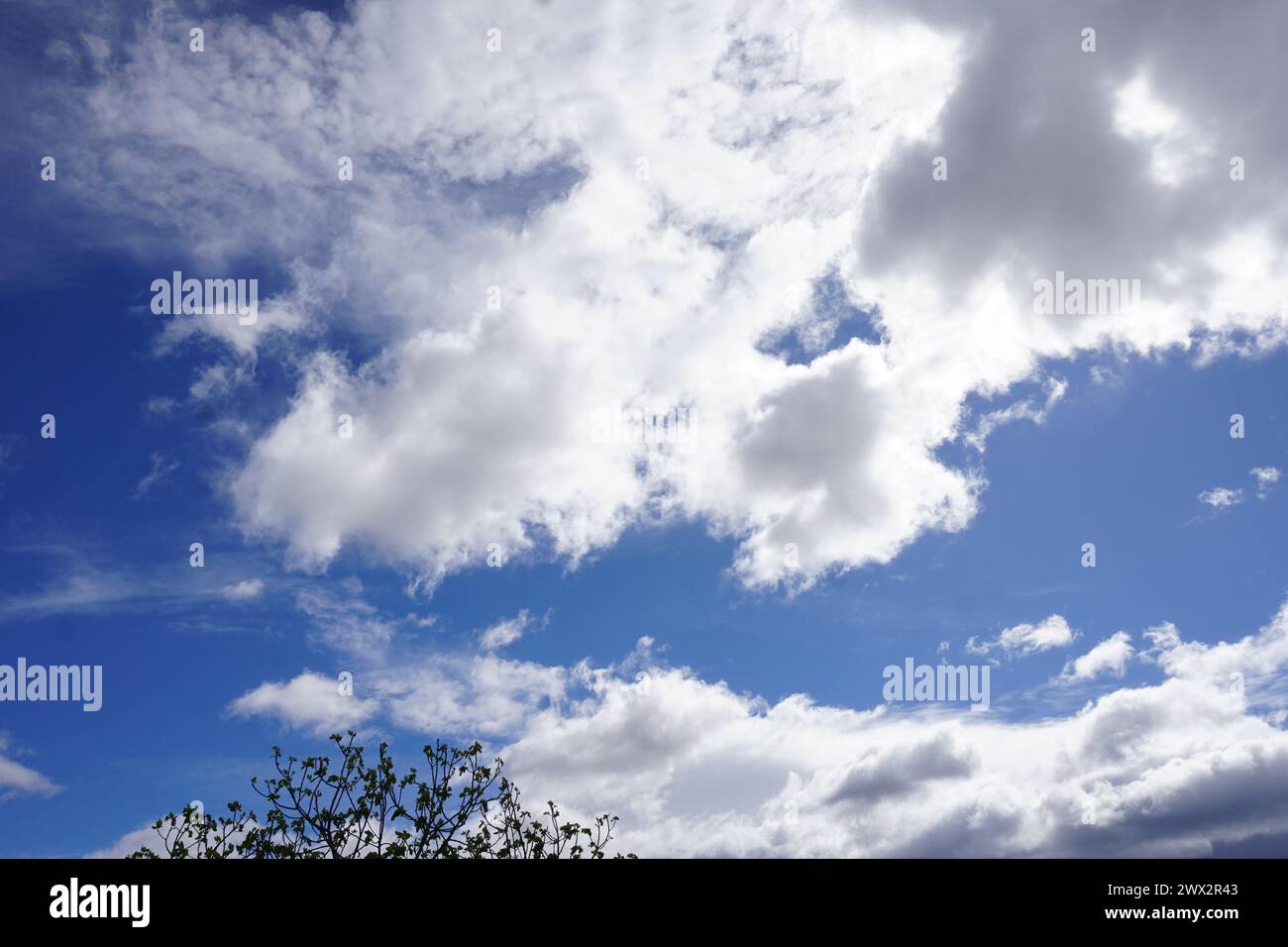 Cielo blu con nuvole variegate Foto Stock