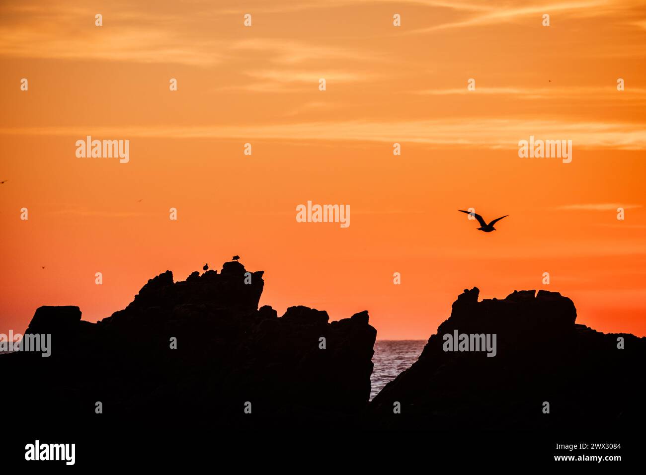 Vista al tramonto di Pfeiffer Beach a Big Sur, California, Stati Uniti Foto Stock