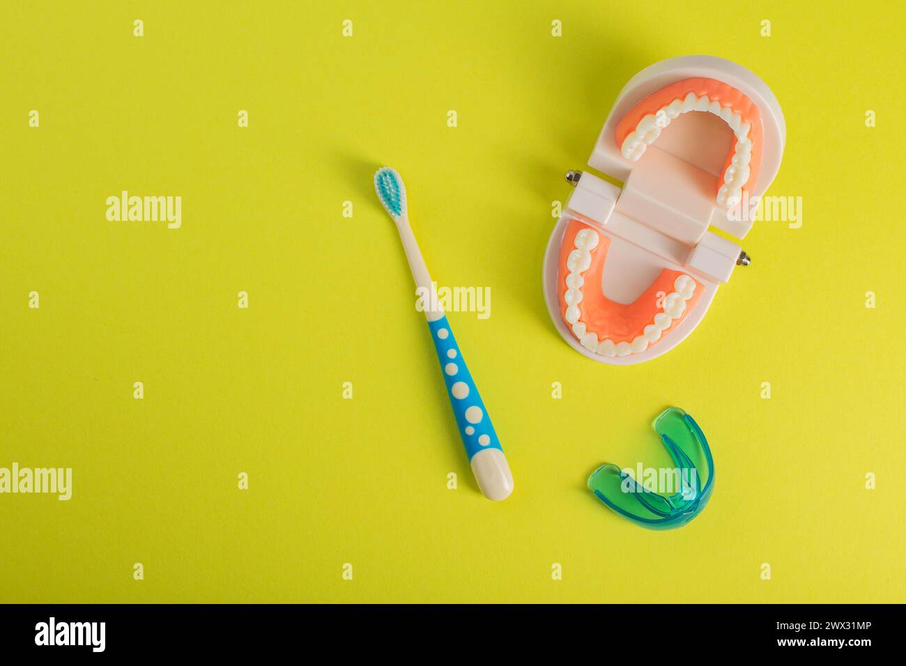 Spazzolino per bambini con setole morbide su sfondo giallo accanto a un modello di mascella dentale. Il concetto di cura e igiene per la cavità orale Foto Stock