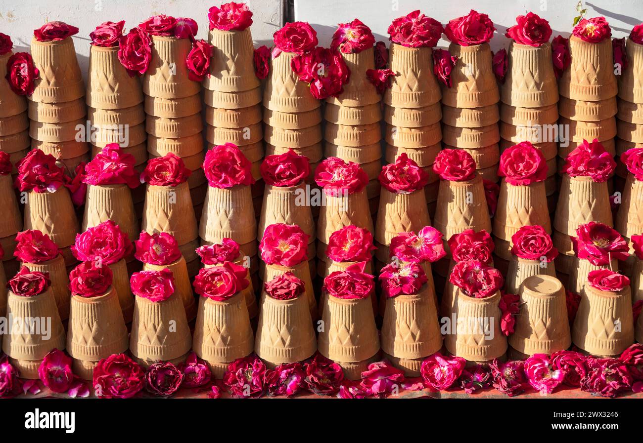 Indien, Rajasthan, Pushkar, aus Ton gebrannte Teegefässe (tazza chai indiana) Foto Stock