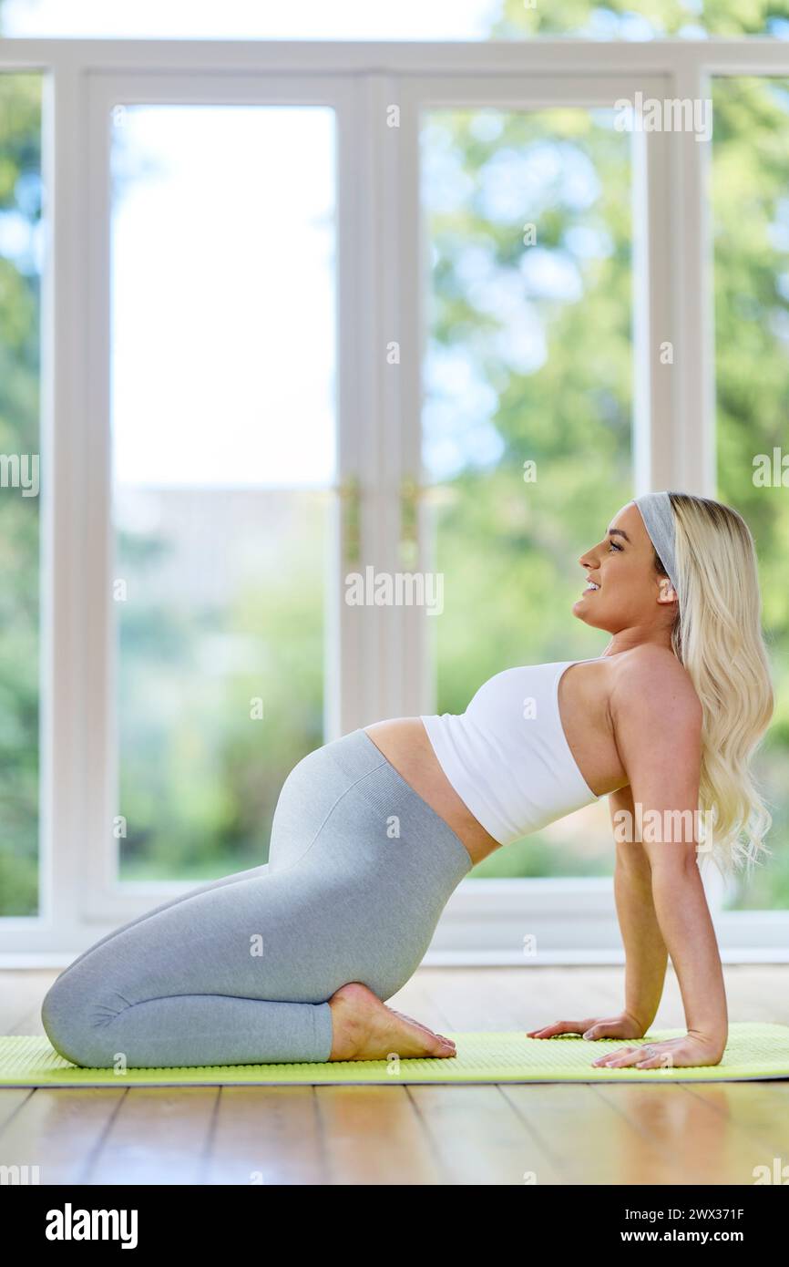 Donna incinta che fa esercizio yoga Foto Stock