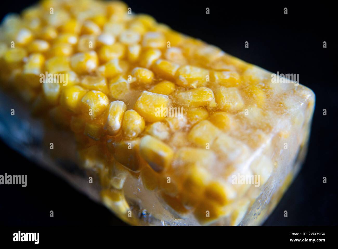 Una macro fotografia ravvicinata di chicchi di mais dolce gialli congelati in un blocco di ghiaccio su uno sfondo scuro. Foto Stock