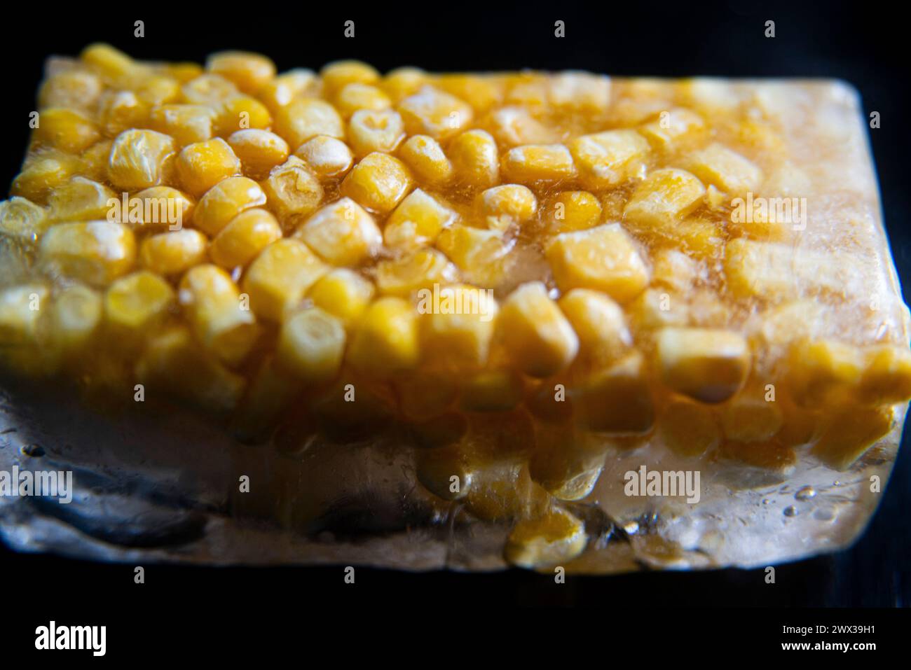 Una macro fotografia ravvicinata di chicchi di mais dolce gialli congelati in un blocco di ghiaccio su uno sfondo scuro. Foto Stock