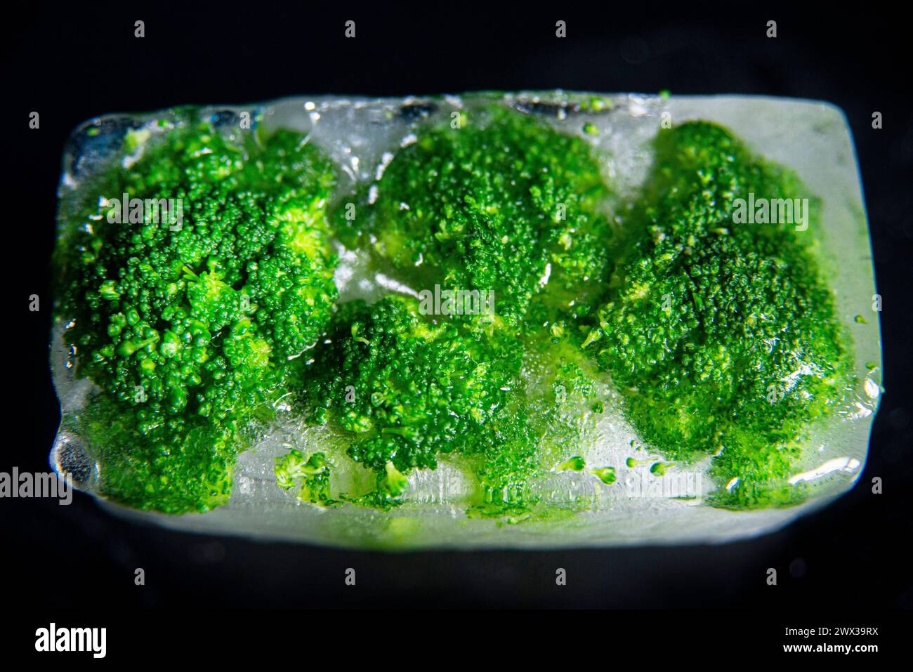 Primo piano di fioretti di broccoli congelati in un blocco di ghiaccio su sfondo scuro. Foto Stock