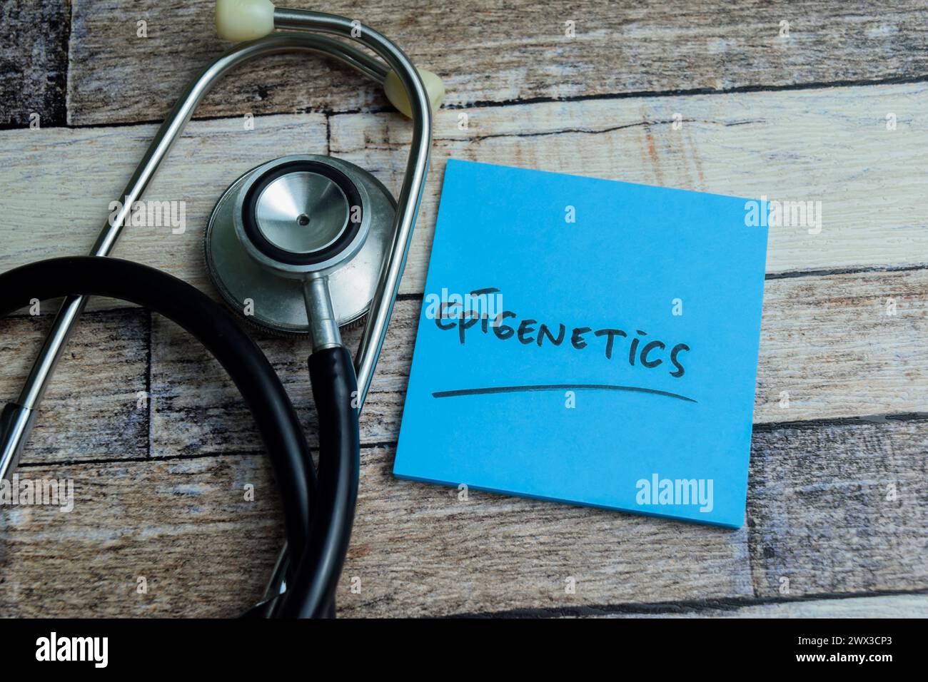 Il concetto di Epigenetica scrive su appiccicose note isolate su un tavolo di legno. Foto Stock