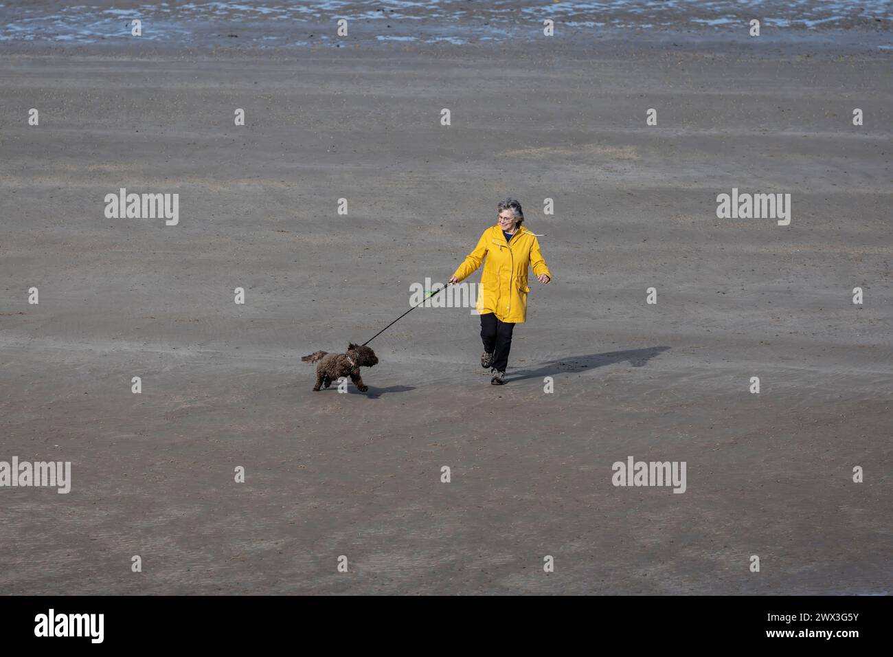 Lady che corre con il suo cane sulla sabbia durante la bassa marea su una spiaggia del Galles del Nord Foto Stock