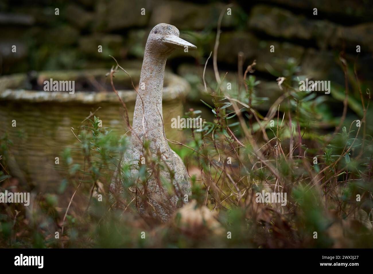 anatra di pietra Foto Stock
