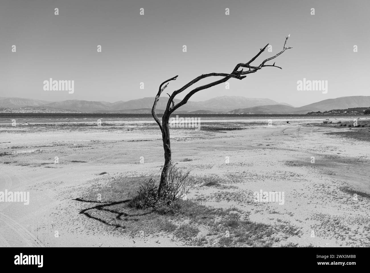 Legno vecchio Foto Stock
