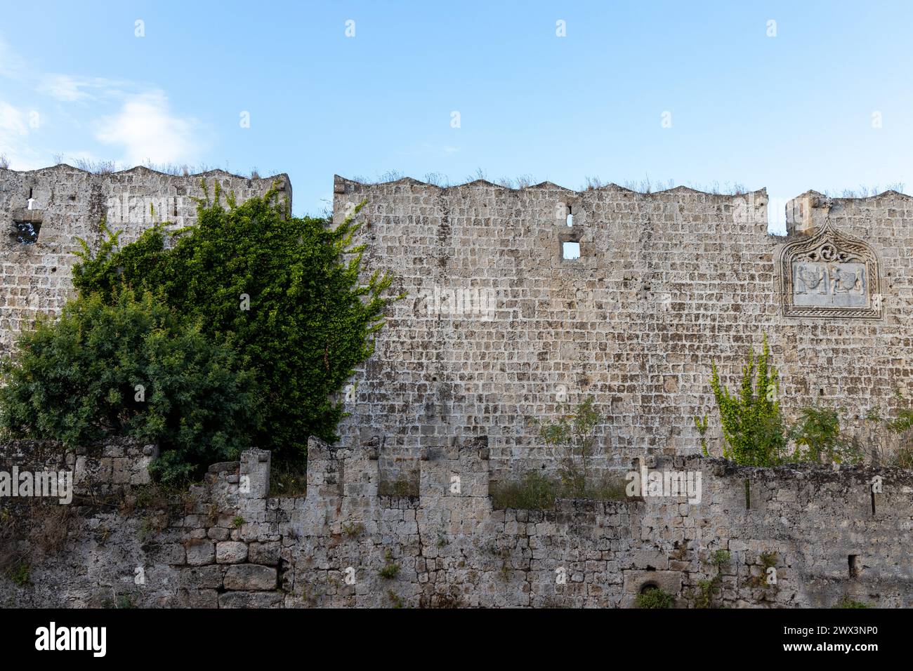 Muro di pietra e vegetazione nel centro storico di Rodi in Grecia Foto Stock