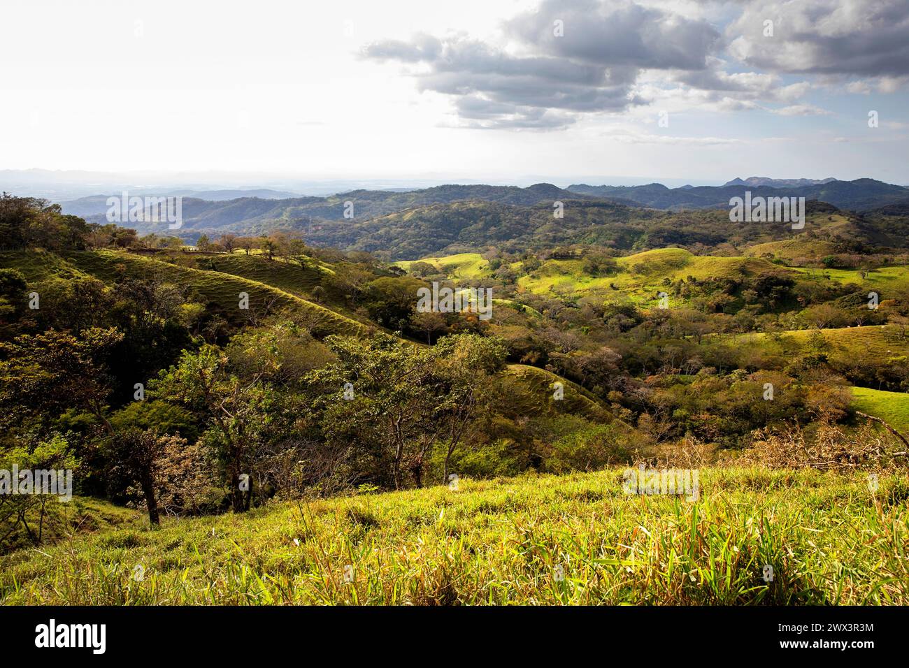 Il paesaggio selvaggio e verdeggiante mozzafiato delle colline ondulate attraverso la remota penisola tropicale di Nicoya nella regione costiera della Costa Rica. Foto Stock