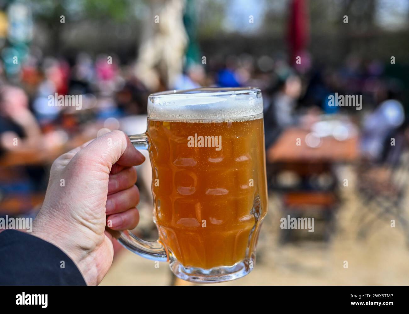 Berlino, Germania. 27 marzo 2024. Un uomo tiene una birra appena spillata nel giardino della birra Schleusenkrug. Crediti: Jens Kalaene/dpa/Alamy Live News Foto Stock