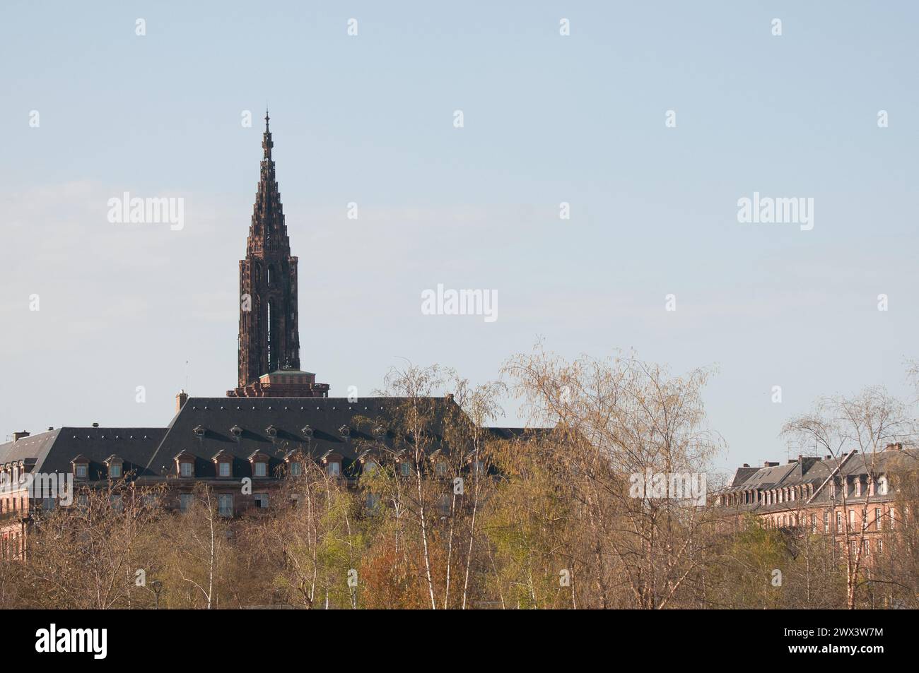 Strasburgo Rivetoile-Place de l'Etoile Strasburgo-Gandhi scultura Foto Stock