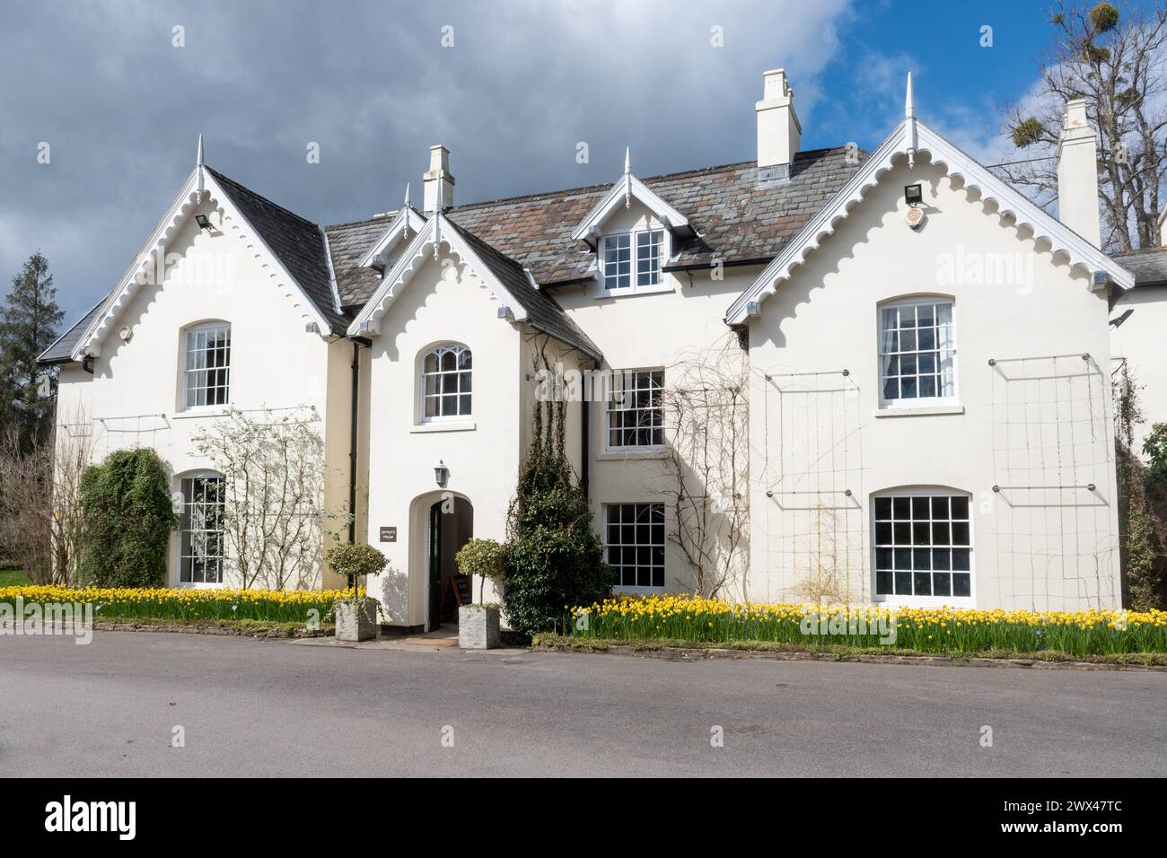 Jermyn's House presso Sir Harold Hillier Gardens, un'attrazione turistica nell'Hampshire, Inghilterra, Regno Unito, con narcisi in fiore durante marzo o primavera Foto Stock