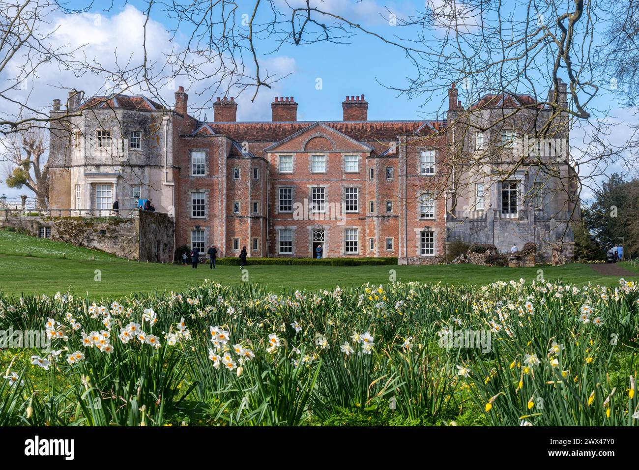 Mottisfont Abbey, residenza storica, giardino e tenuta di campagna, vista di primavera con narcisi in fiore, Hampshire, Inghilterra, Regno Unito, durante marzo Foto Stock