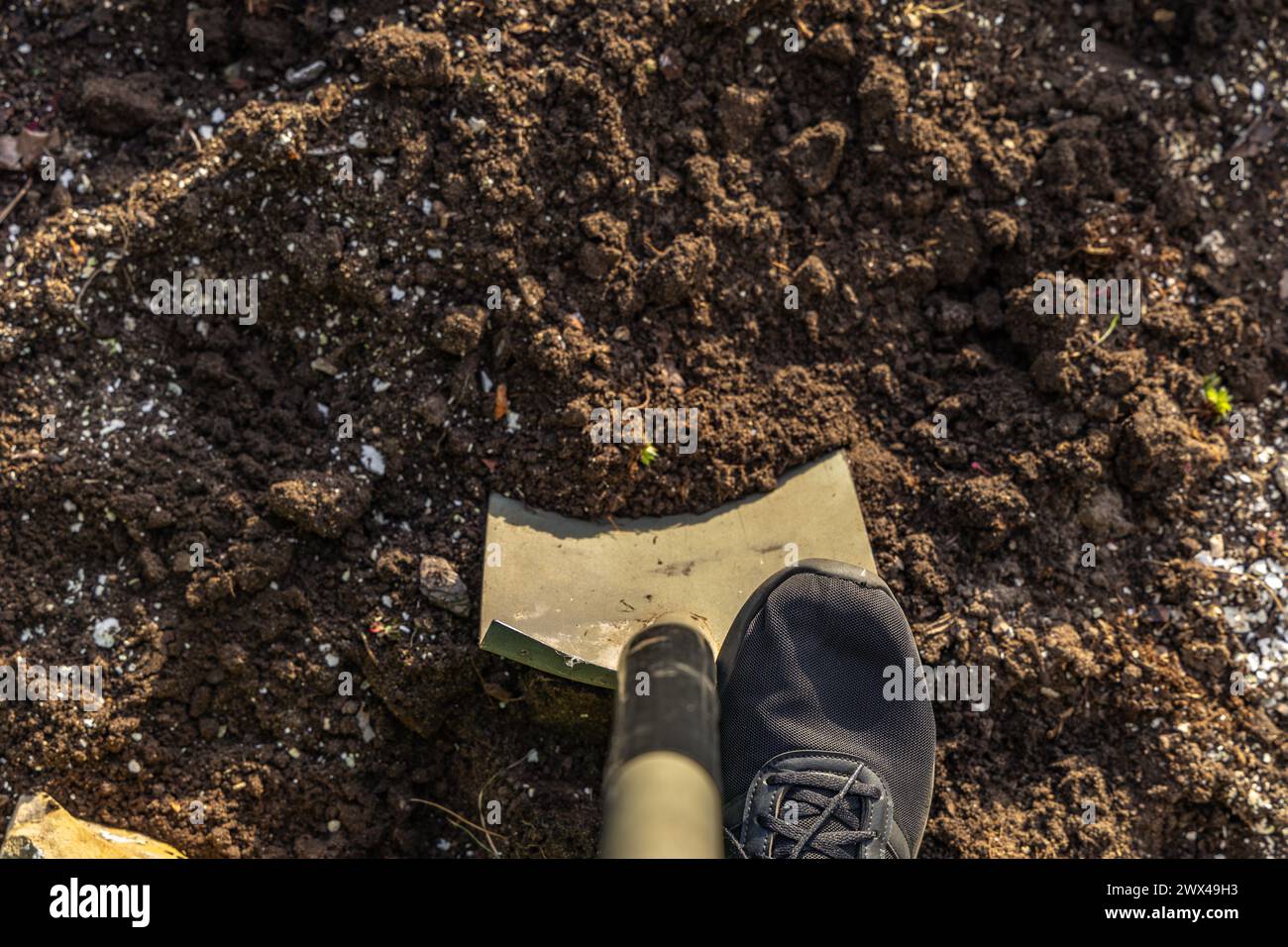 Piantare arbusti di conifere, costruire una roccia nel giardino, riordinare il giardino in primavera, piantare piante nel terreno Foto Stock