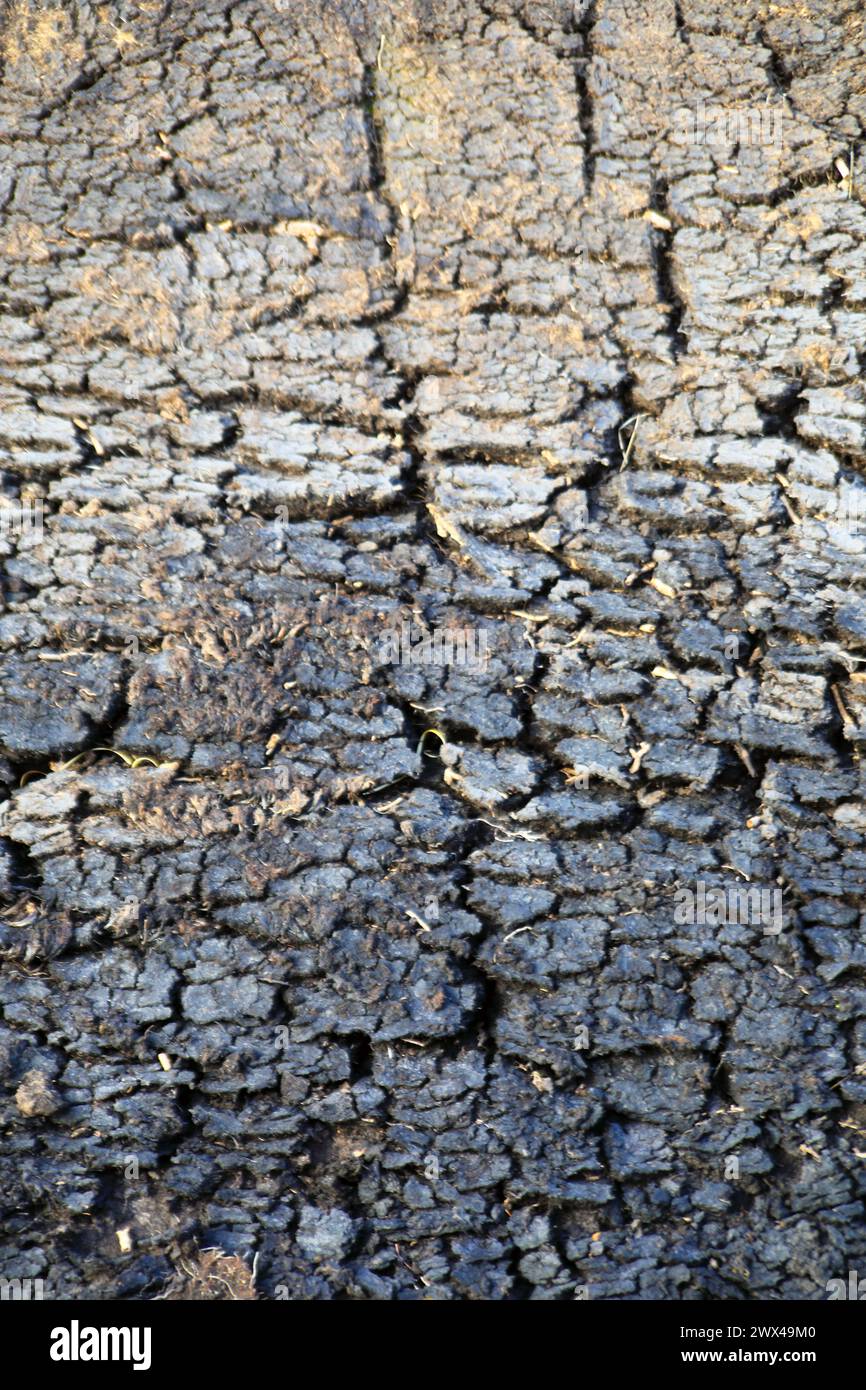 Strati verticali di torba sull'isola di Mull in Scozia Foto Stock