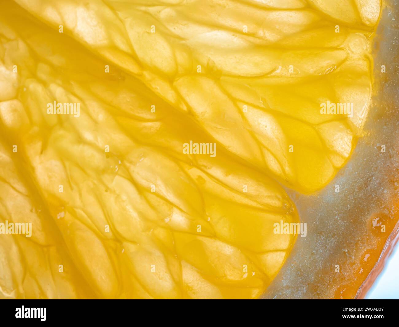 Fetta di frutta tropicale, primo piano d'arancia. Foto Stock