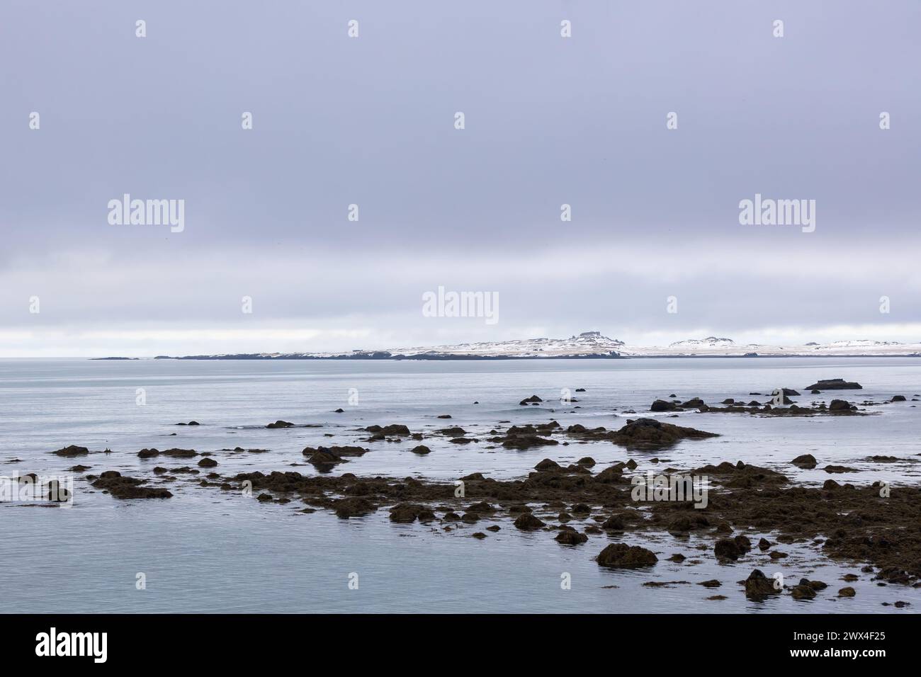 vista panoramica del paesaggio islandese in inverno Foto Stock
