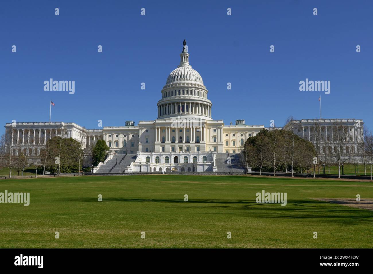 Di fronte al Campidoglio degli Stati Uniti a Washington DC Foto Stock