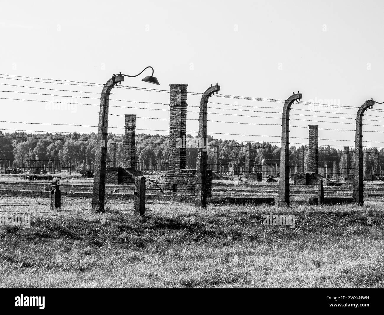 I resti inquietanti delle recinzioni e dei posti di guardia del campo di concentramento di Auschwitz Birkenau si trovano sotto un cielo coperto, riflettendo un capitolo solenne della storia. Polonia. Fotografia in bianco e nero. Foto Stock