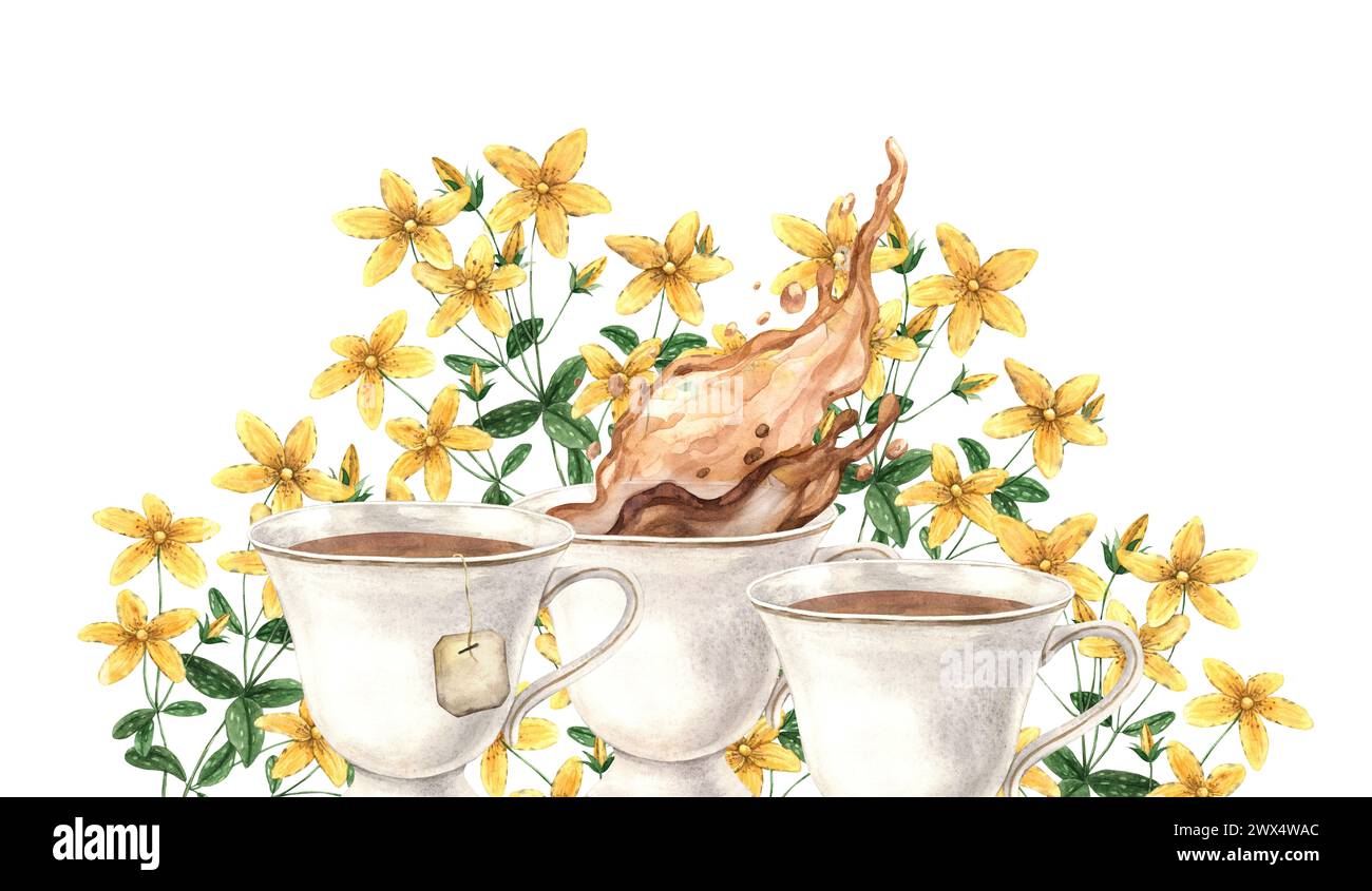 Composizione acquerello con tazze vintage e St. I fiori di erba di John. L'illustrazione è disegnata a mano su uno sfondo isolato. Disegno per menu desig Foto Stock