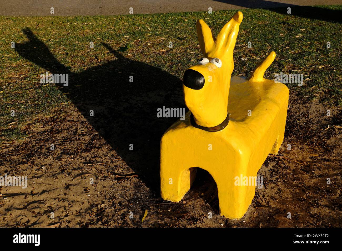 Perth: Posto ideale per cani gialli nel parco giochi subito dopo l'alba presso la Deep Water Point Reserve di Perth Foto Stock