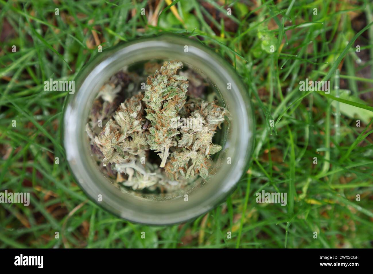 Augusta, Germania. 21 marzo 2024. Fiori di cannabis secchi giacciono in un barattolo. Il 22 marzo, il Consiglio federale ha aperto la strada alla parziale legalizzazione della cannabis il 1° aprile. Crediti: Karl-Josef Hildenbrand/dpa/Alamy Live News Foto Stock