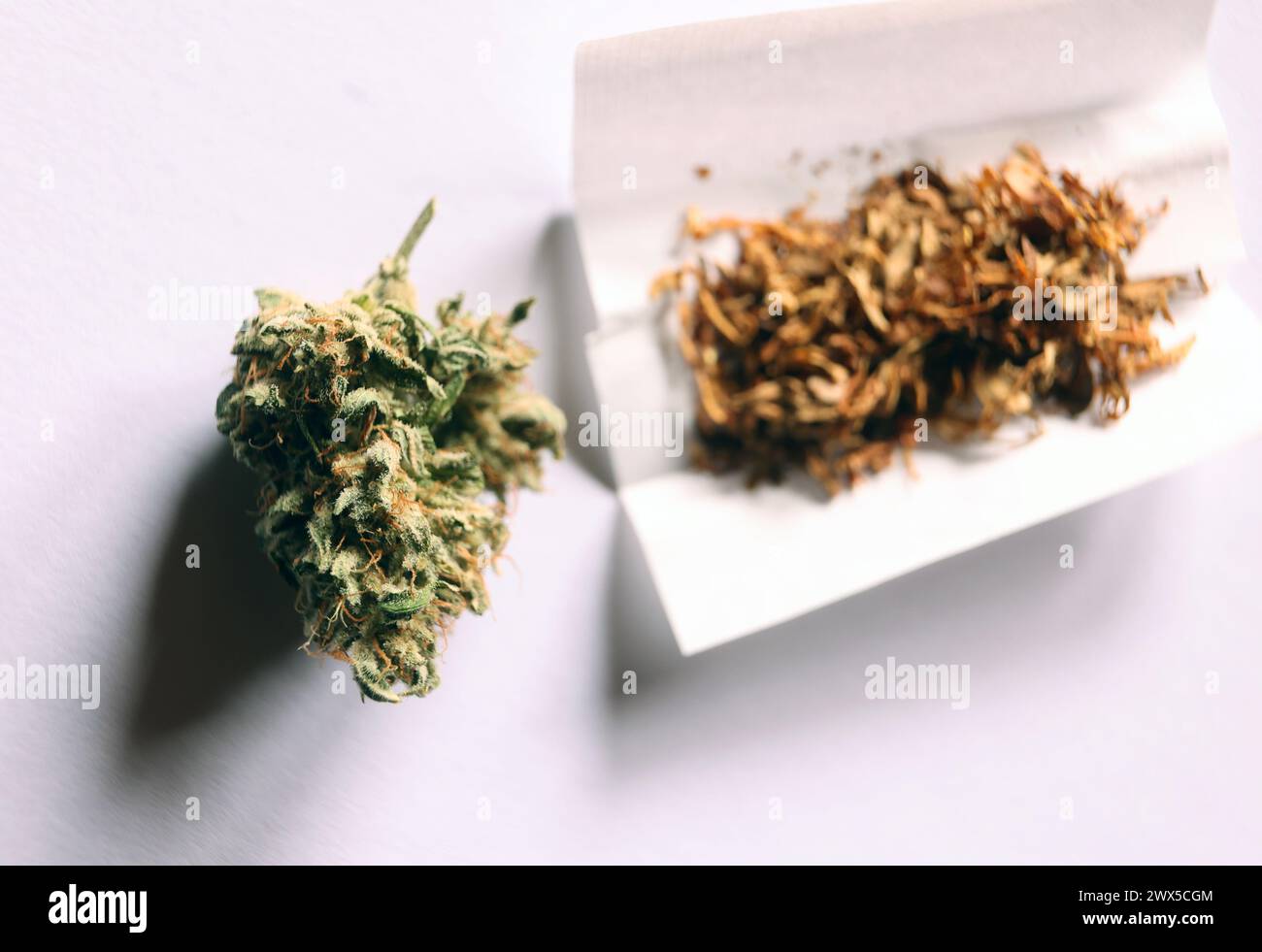 Augusta, Germania. 21 marzo 2024. Un fiore di cannabis essiccato si trova accanto alla carta da sigarette e al tabacco. Il 22 marzo, il Consiglio federale ha aperto la strada alla parziale legalizzazione della cannabis il 1° aprile. Crediti: Karl-Josef Hildenbrand/dpa/Alamy Live News Foto Stock