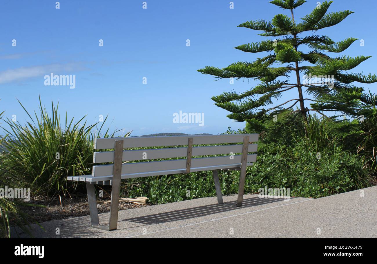 Parcheggia la panchina accanto ad un giardino di piante, pini e sentieri Foto Stock