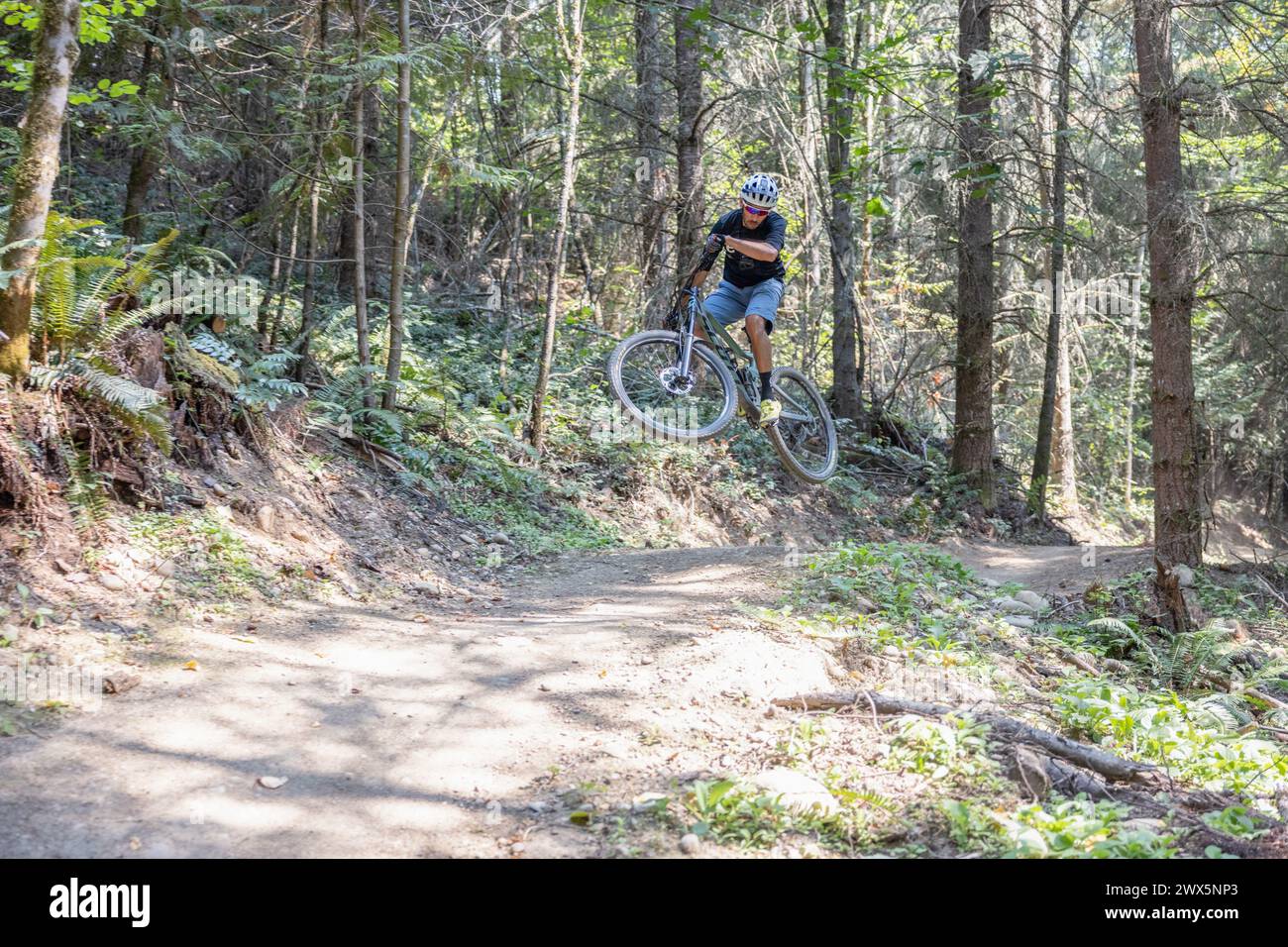 Mountain bike nella Foresta Foto Stock