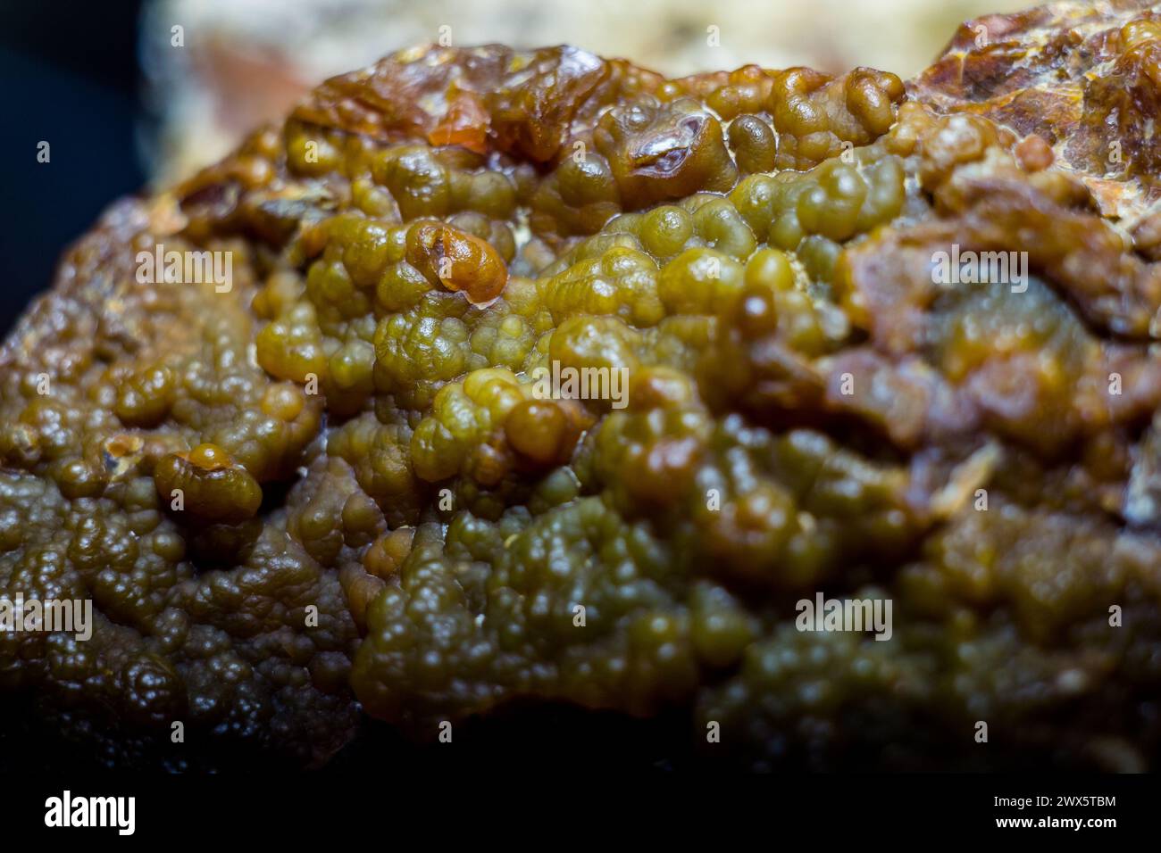 Buccia di sferulite di calcedonia su pietra selce Foto Stock