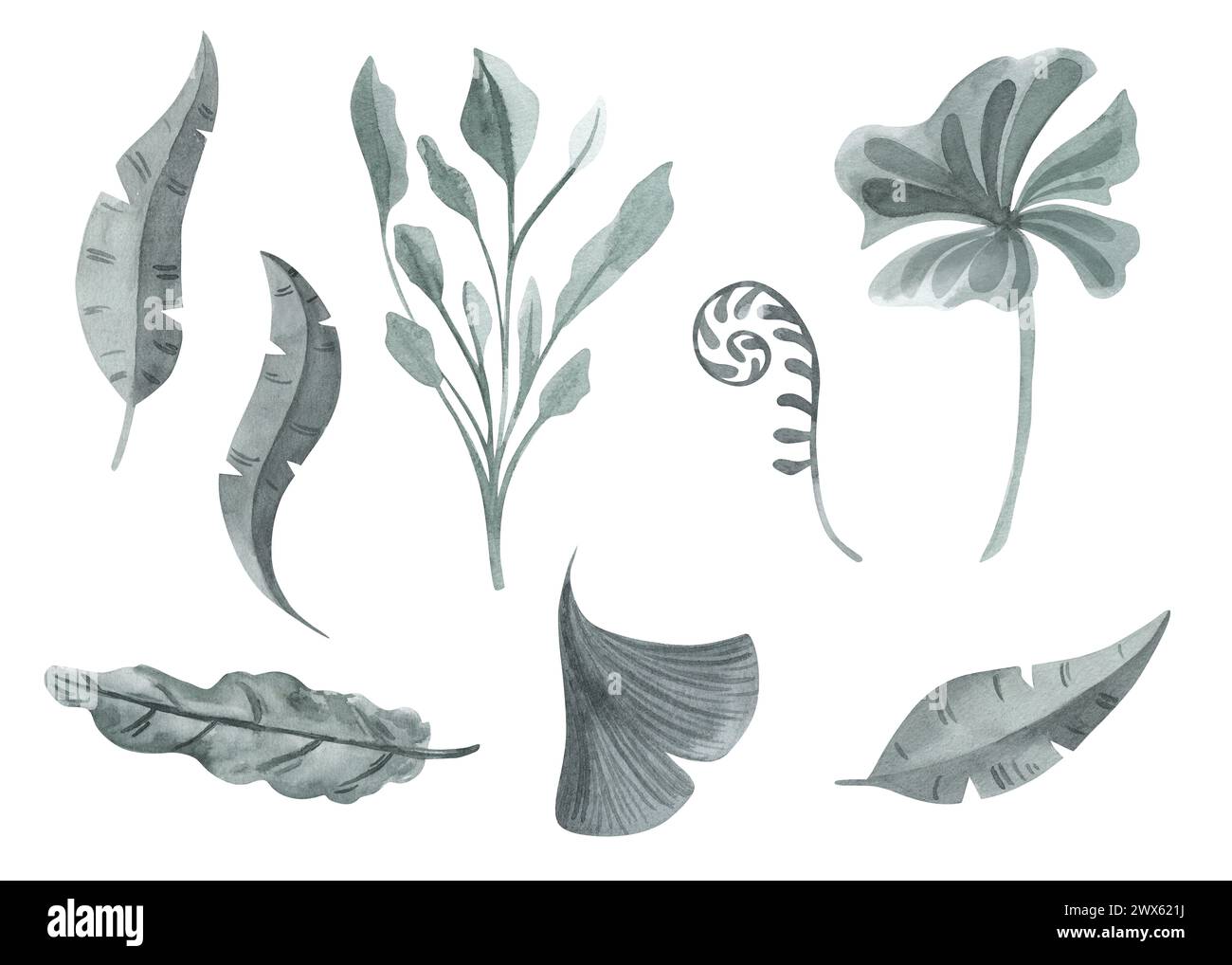 Piante tropicali dell'antico mondo di dinosauri, foglie, erba, cespugli Acquerello. disegnato a mano isolato su sfondo bianco. Foto Stock