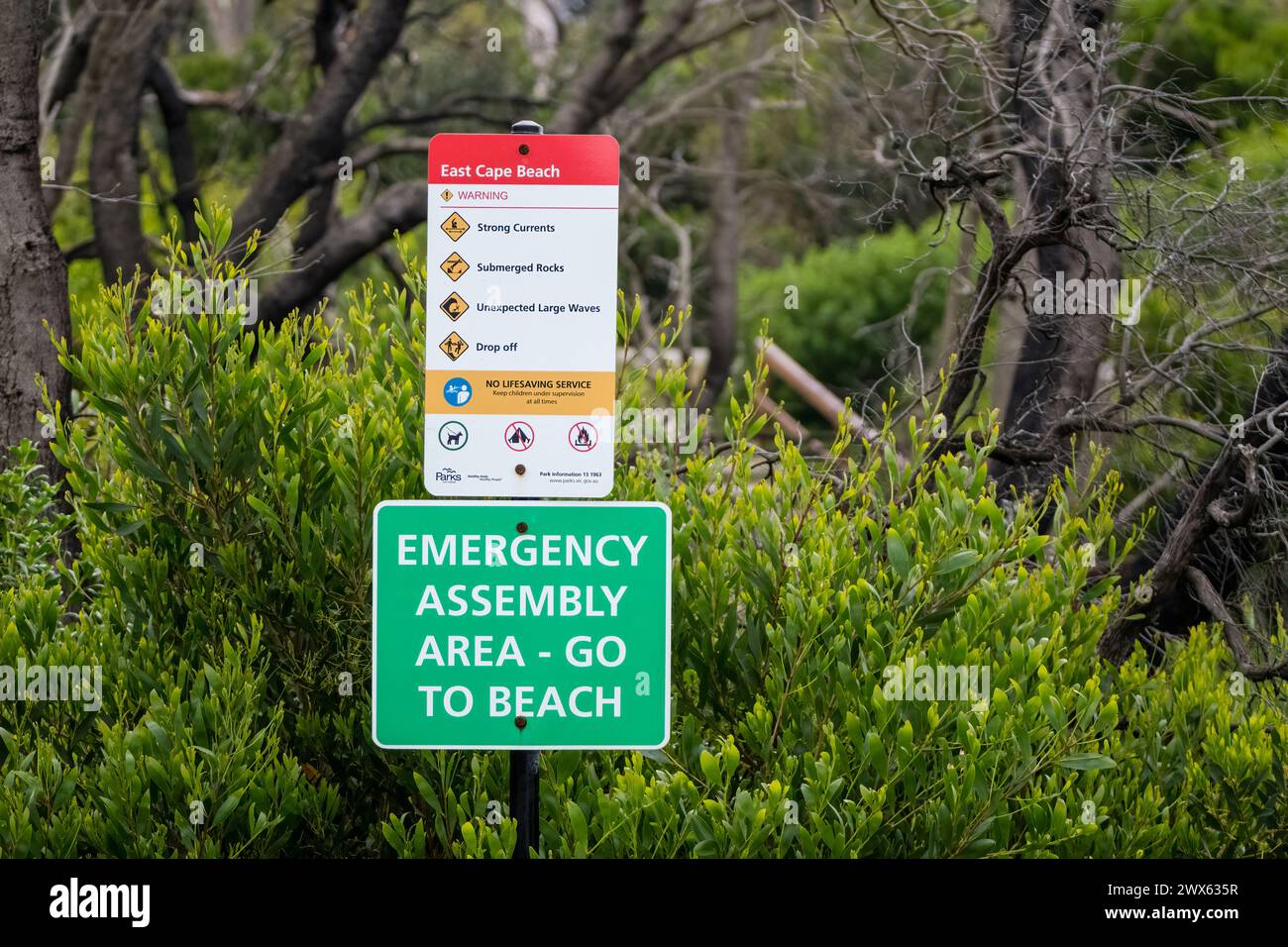 Segnale di avvertimento area di montaggio di emergenza, East Cape Beach, Cape Conran, Australia Foto Stock